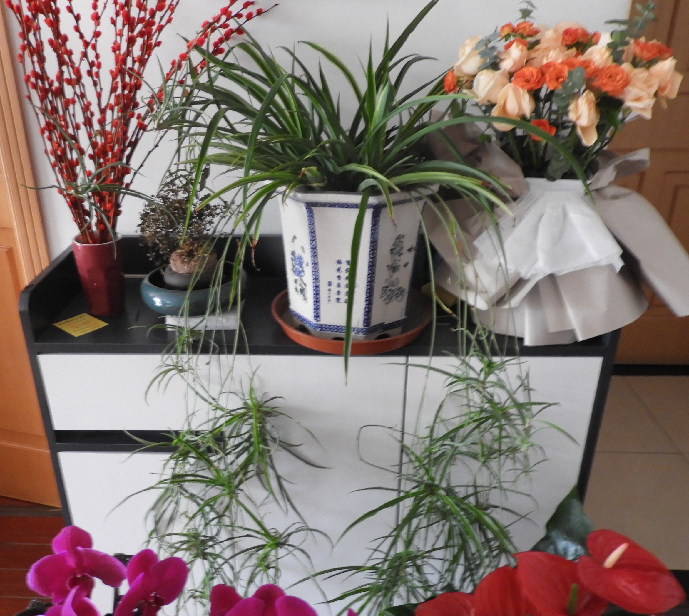 DSCN1709.JPG