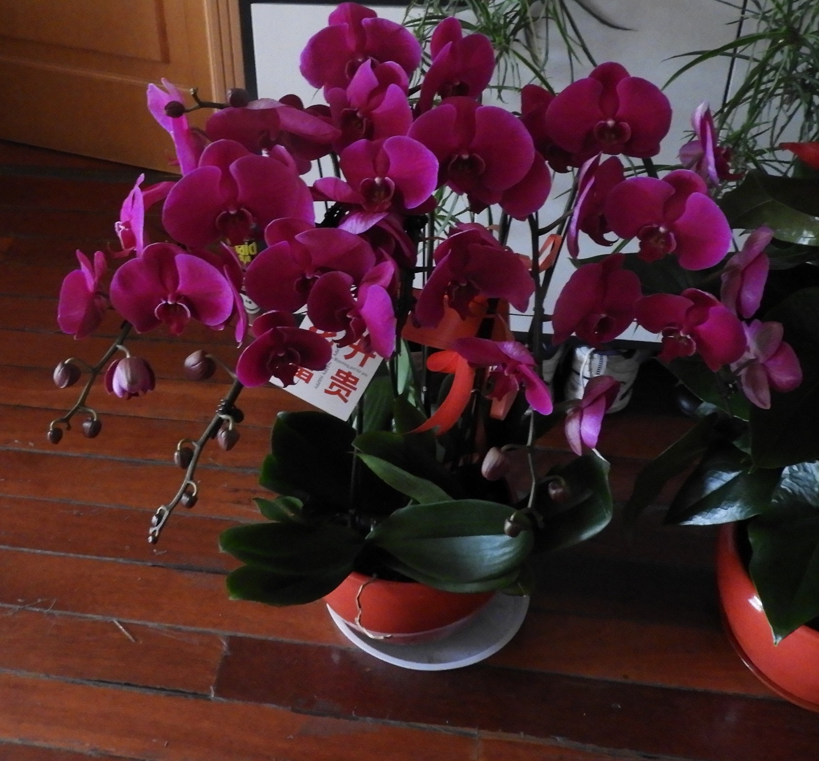 DSCN1710.JPG
