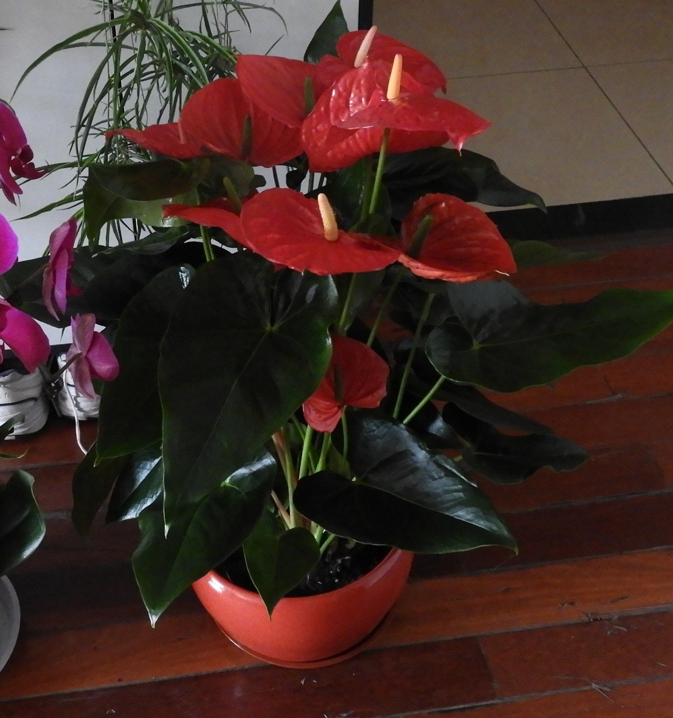 DSCN1711.JPG