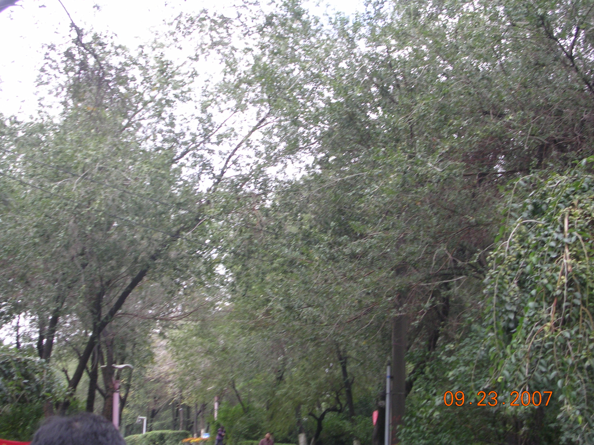 2007-Picture07-09-24A 048.jpg