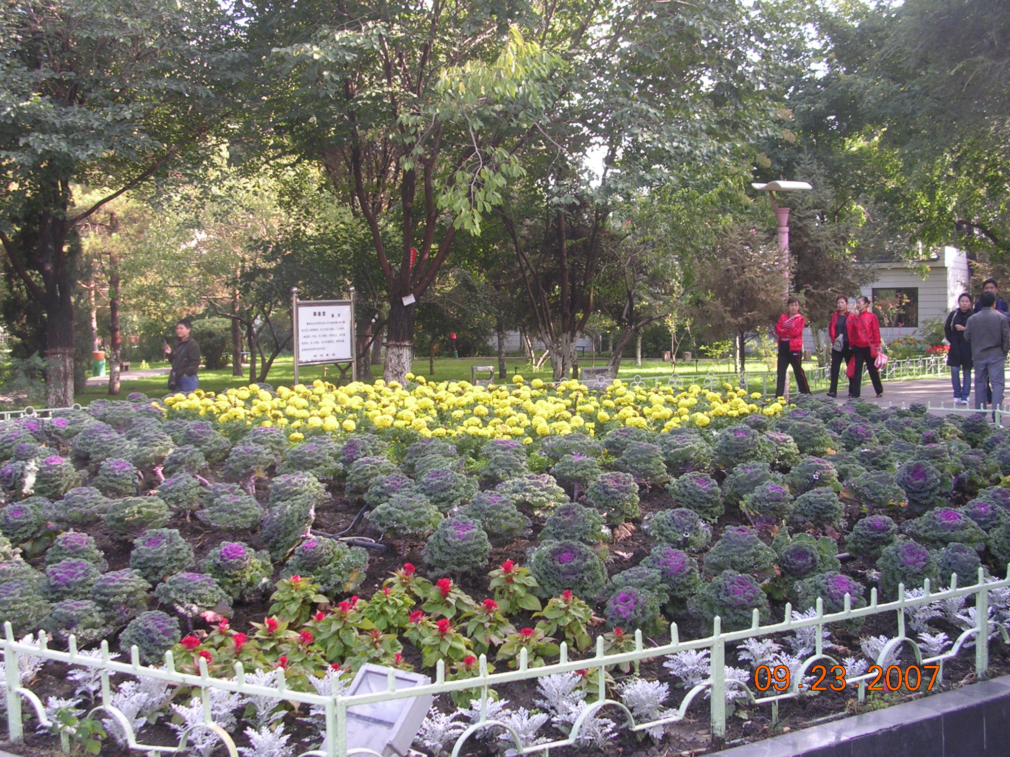 2007-Picture07-09-24A 145.jpg