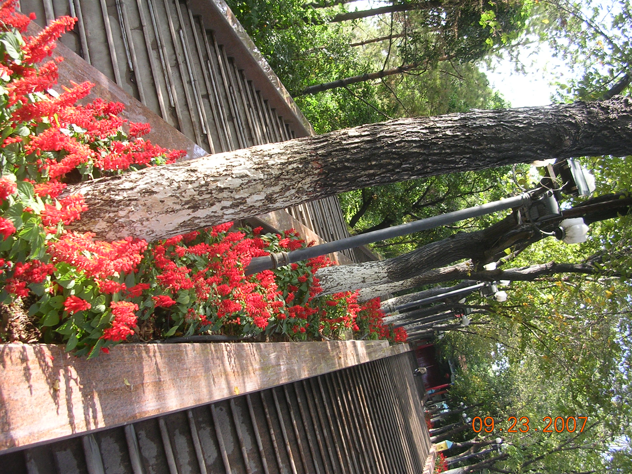 2007-Picture07-09-24A 131.jpg