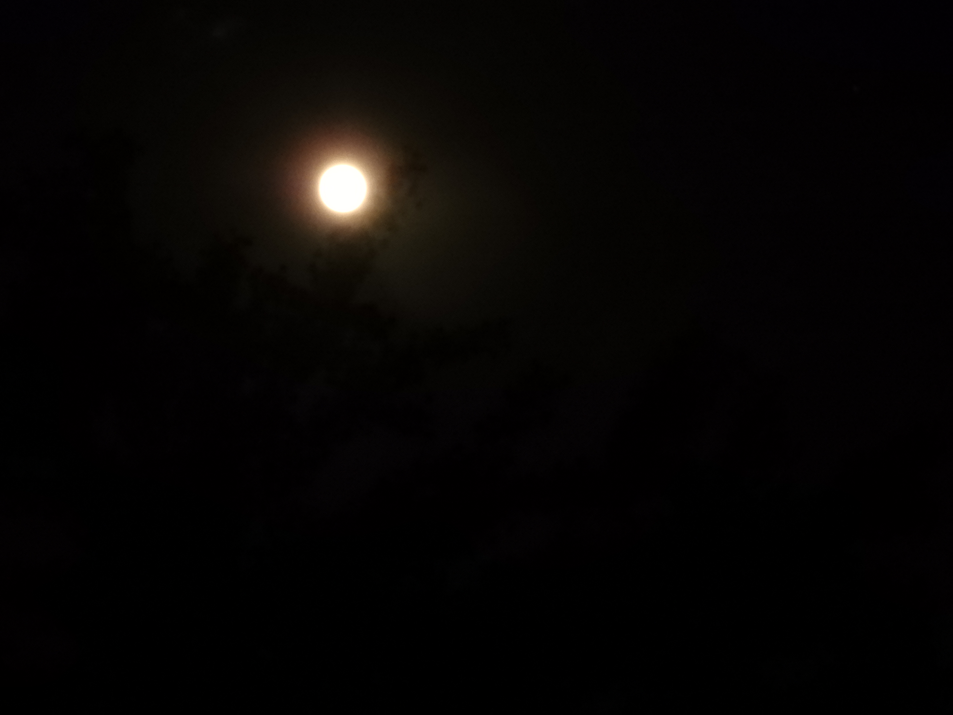 DSCN1678.JPG