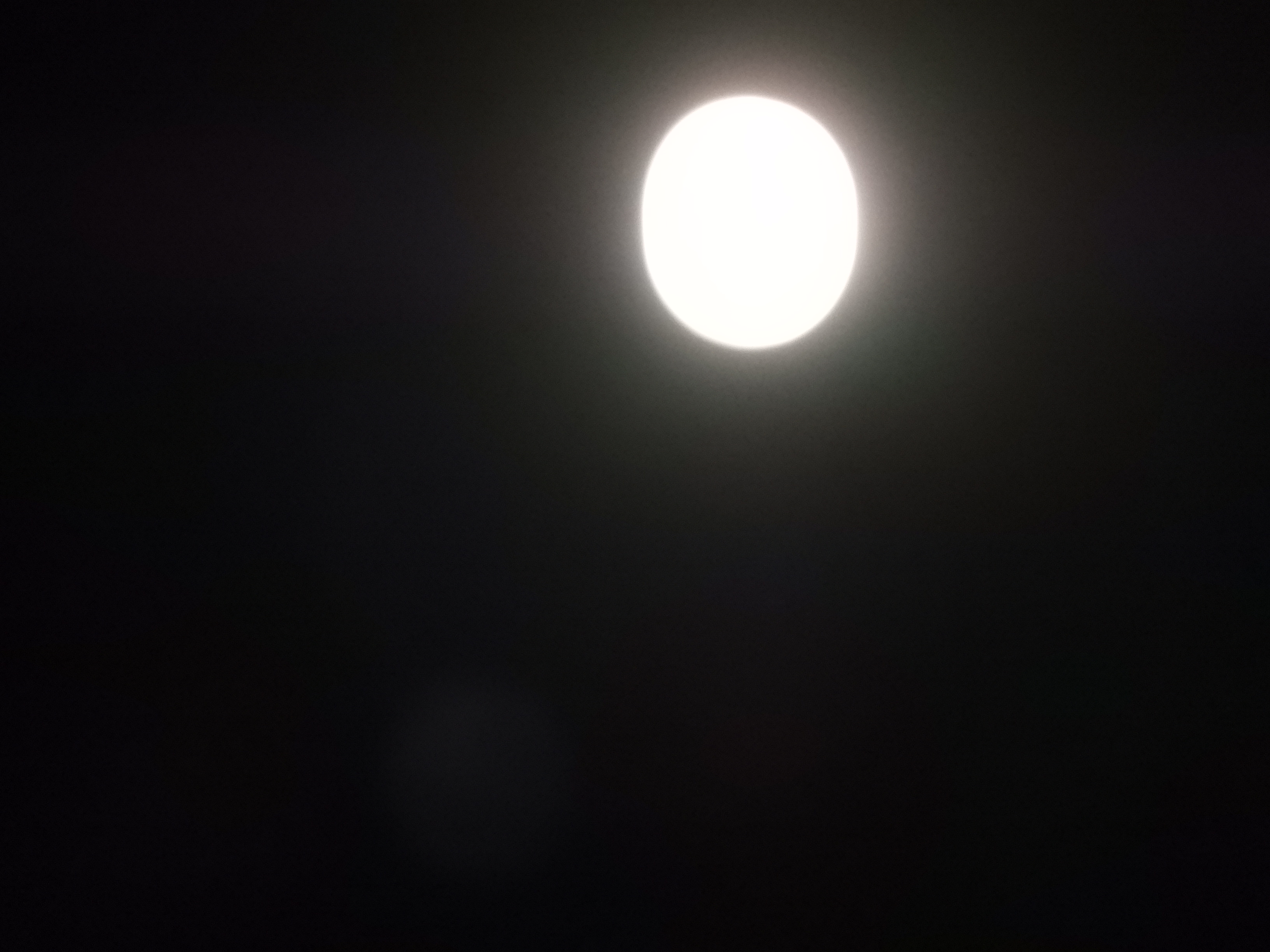 DSCN1690.JPG