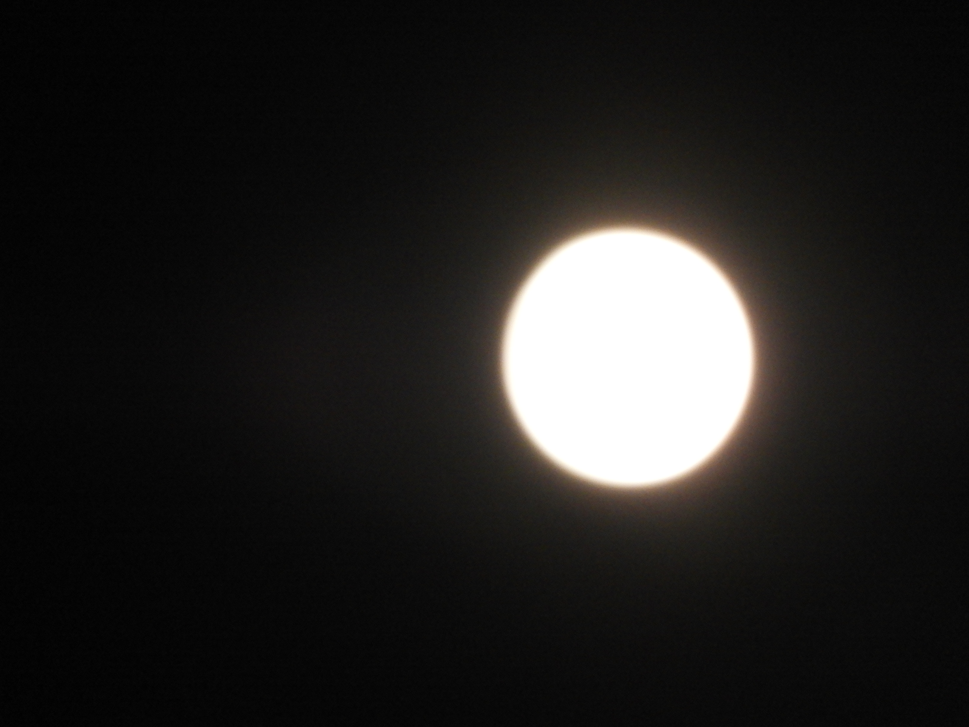DSCN1688.JPG