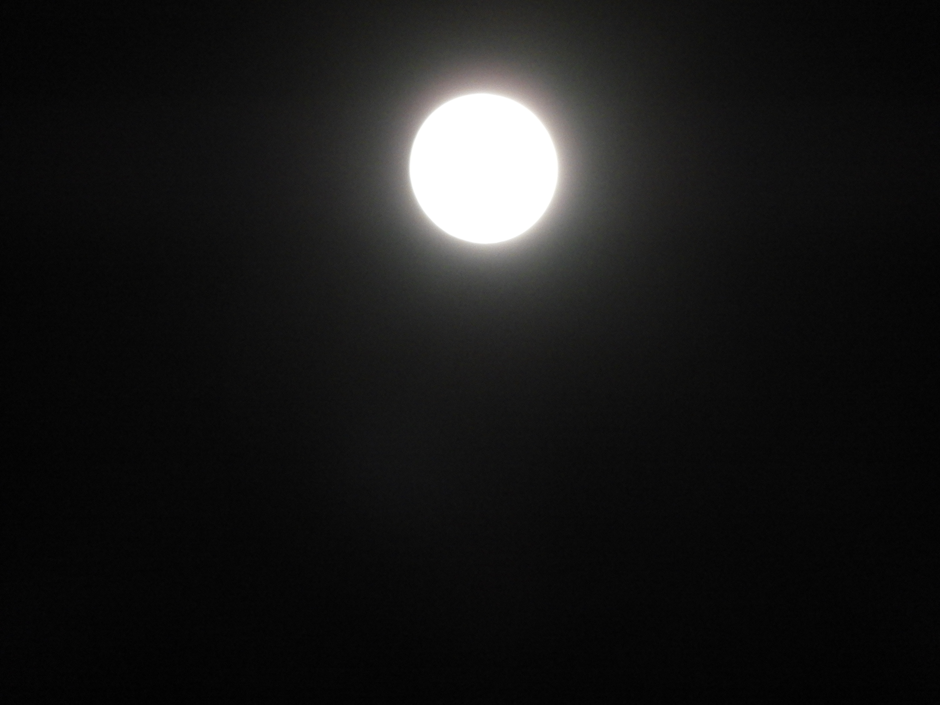 DSCN1687.JPG