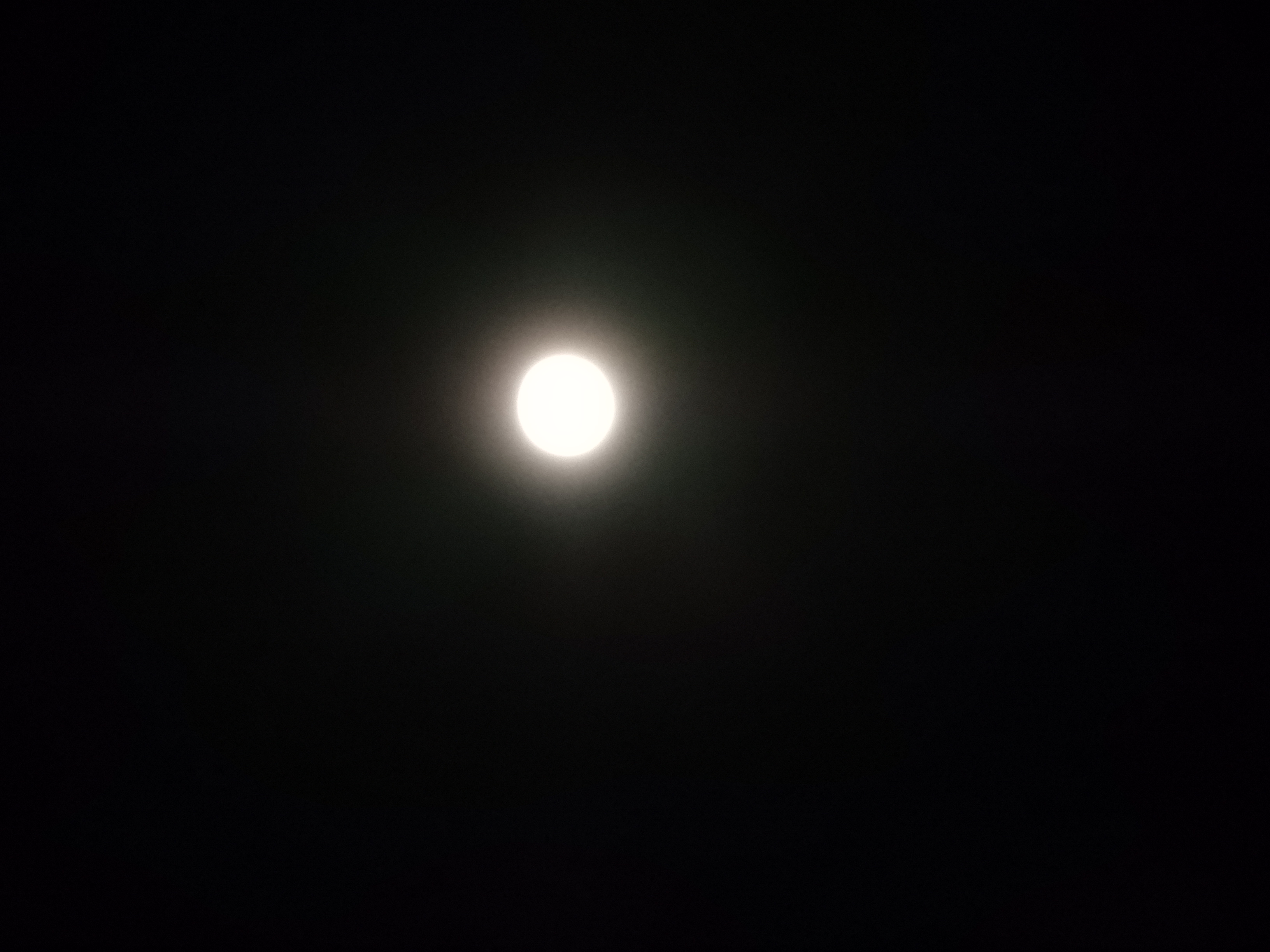 DSCN1686.JPG