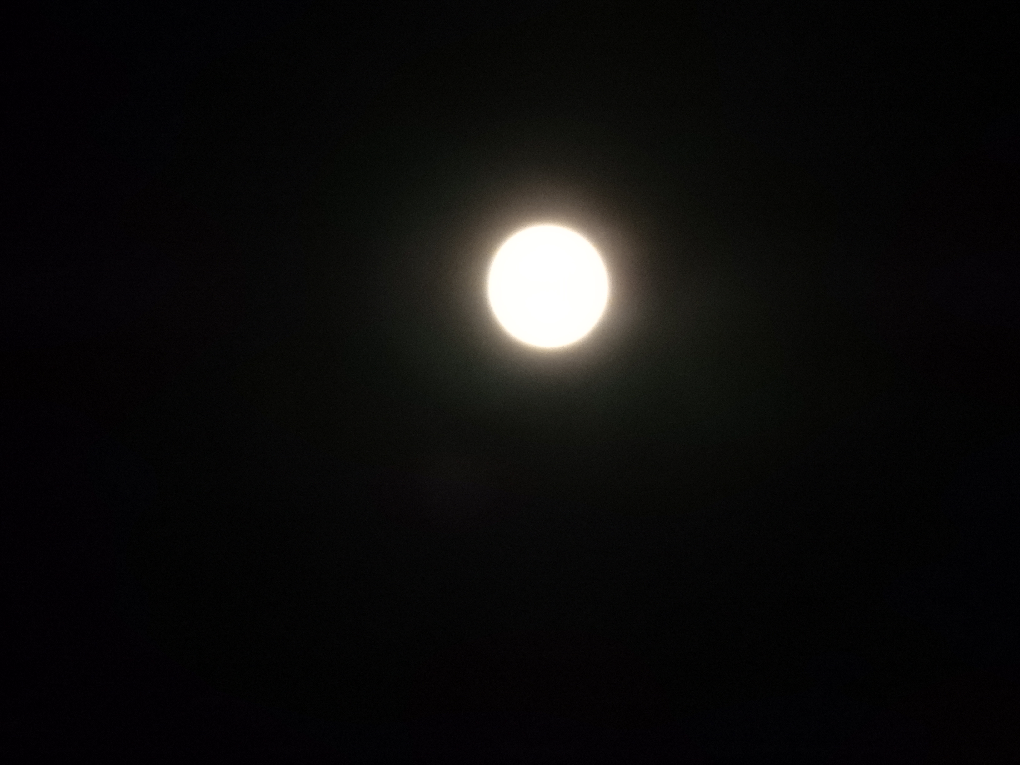 DSCN1685.JPG