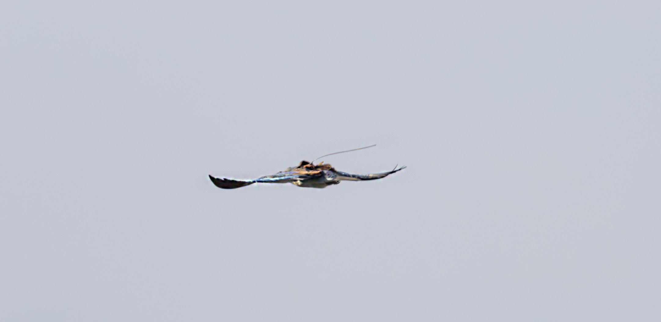 1  κϣ е Rory_20250902e.jpg