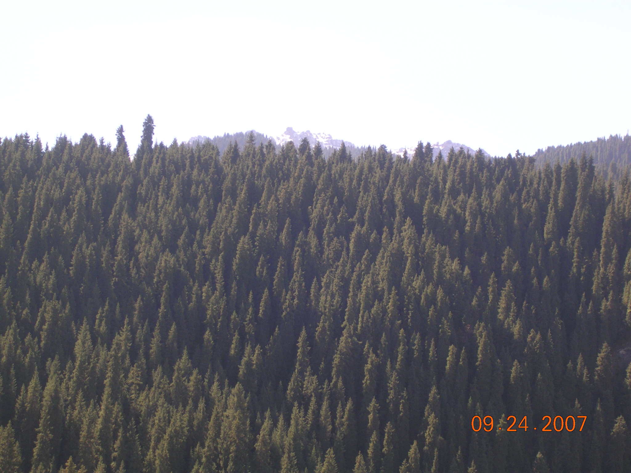 2007-Picture07-09-25A 068.jpg