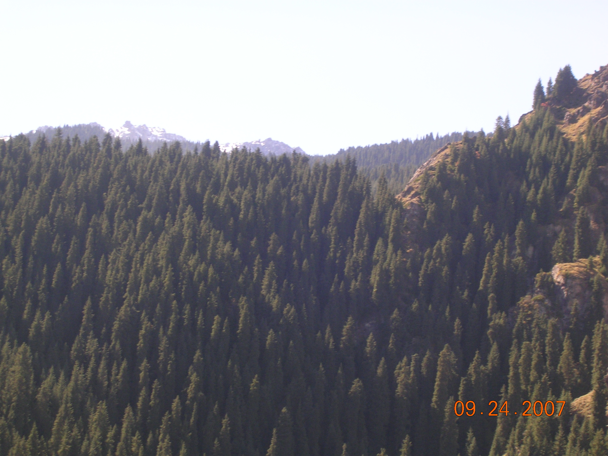 2007-Picture07-09-25A 065.jpg