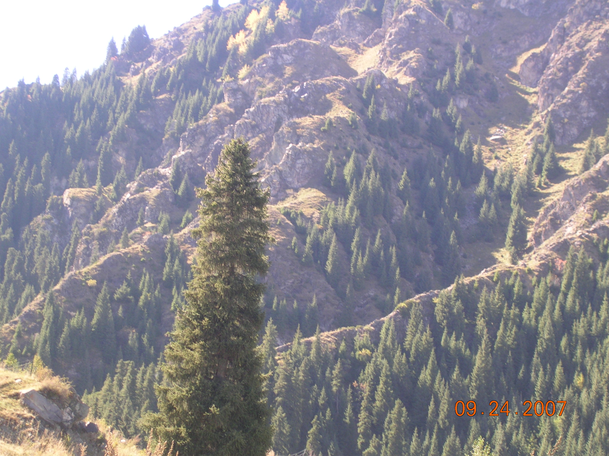 2007-Picture07-09-25A 058.jpg