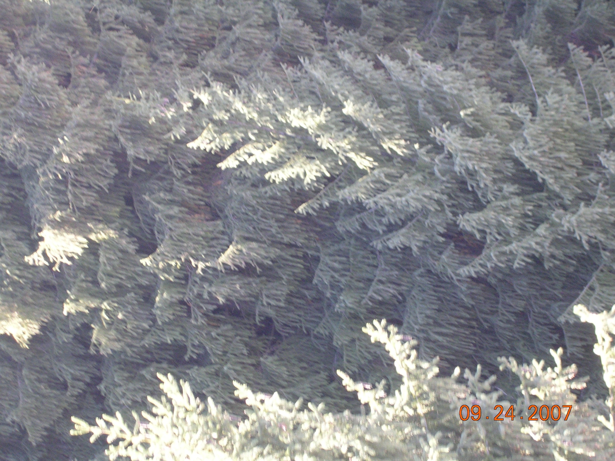 2007-Picture07-09-25A 056.jpg