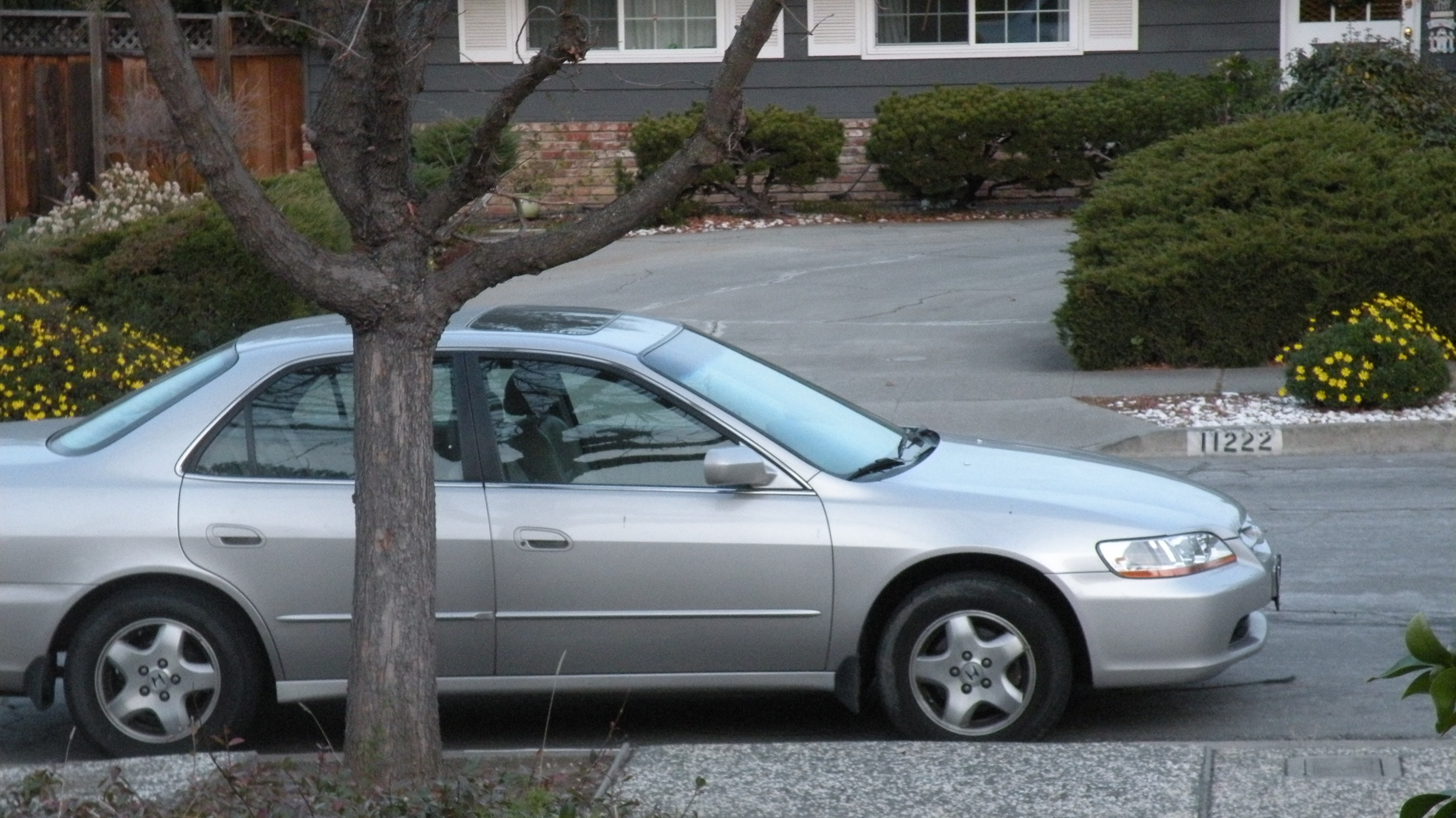 DSCN7370.JPG