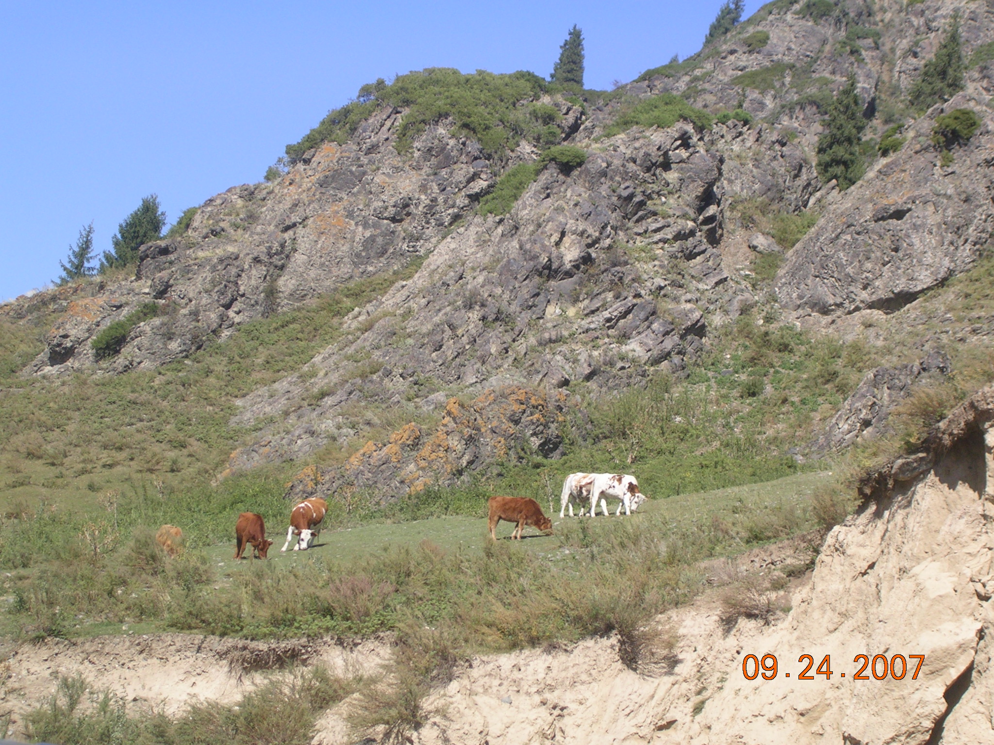 2007-Picture07-09-25A 191.jpg