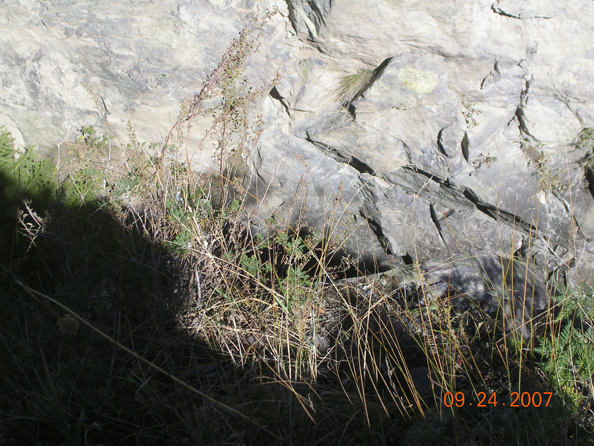 2007-Picture07-09-25A 114.jpg