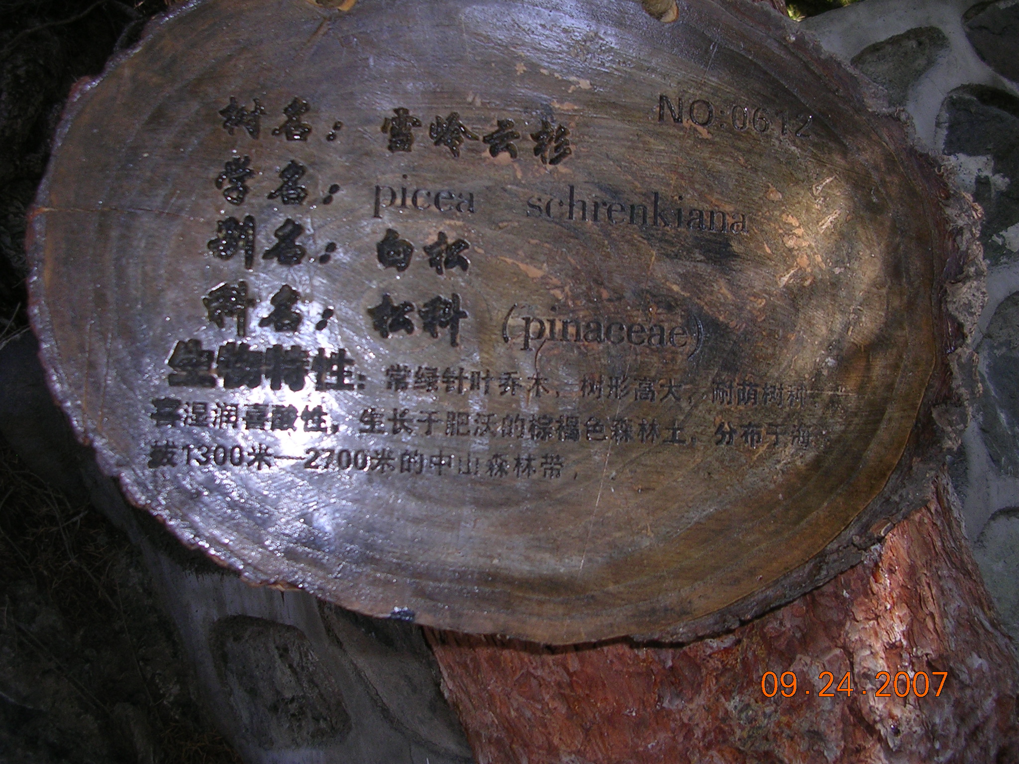 2007-Picture07-09-25A 156.jpg