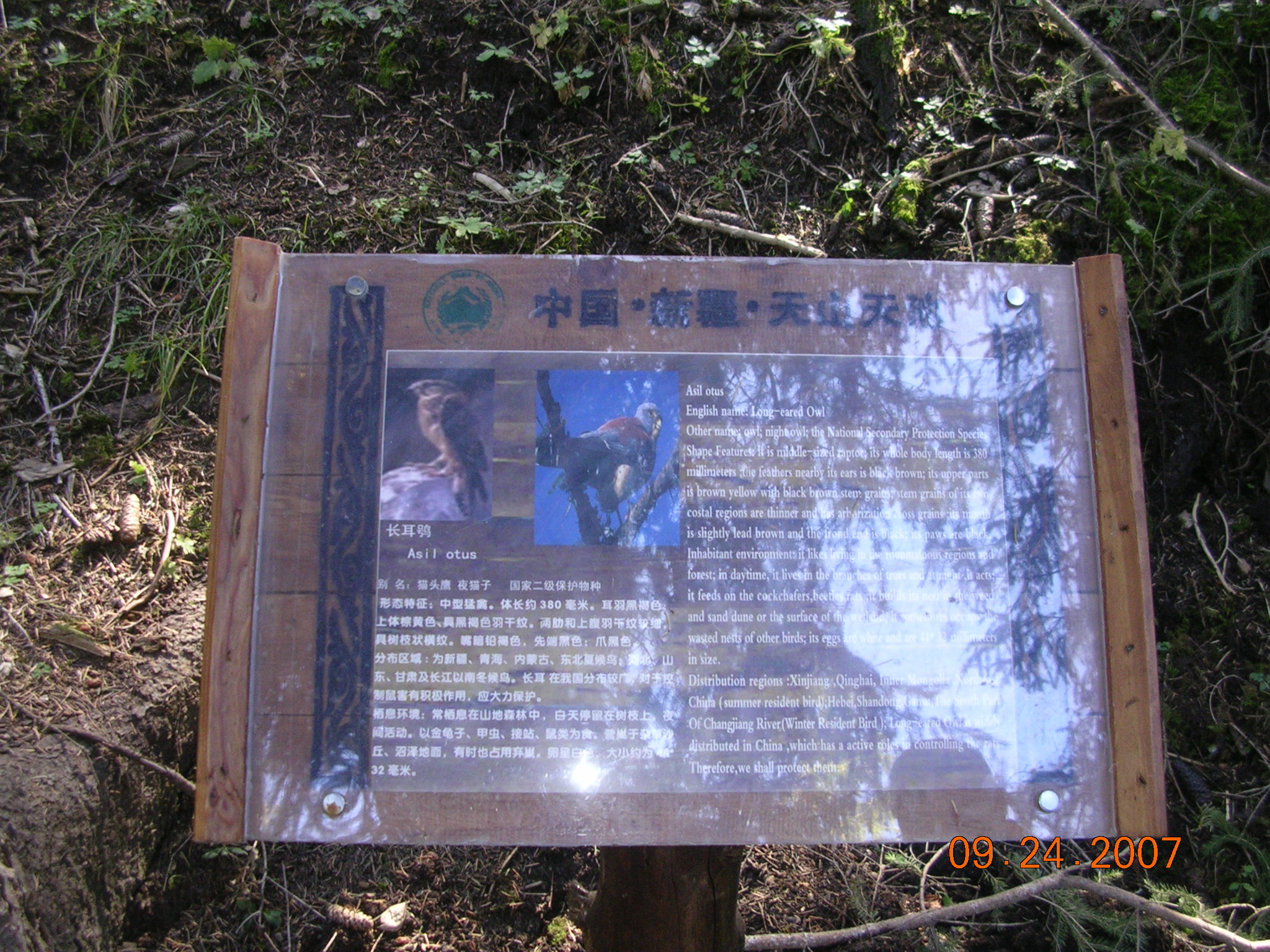 2007-Picture07-09-25A 151.jpg