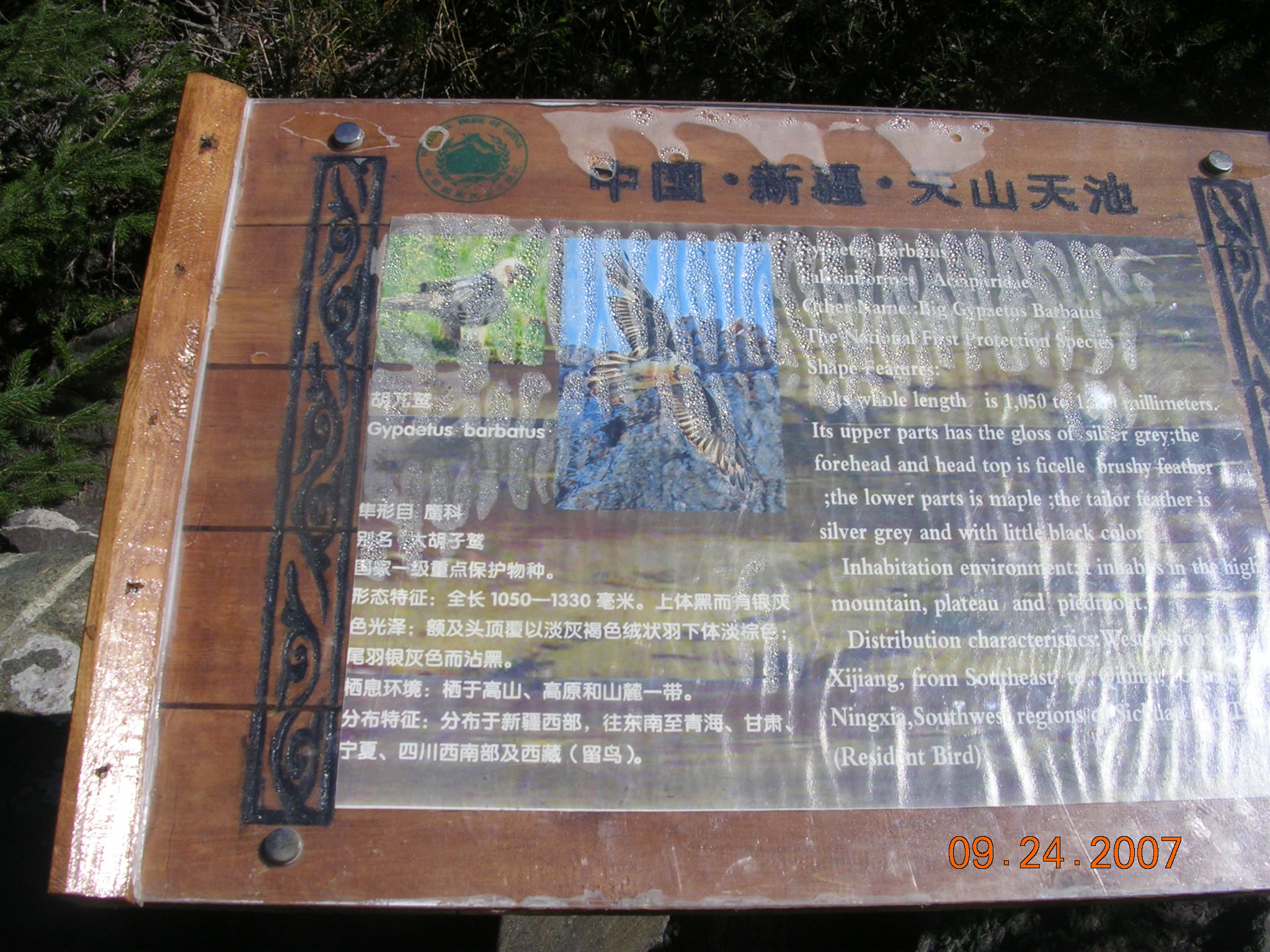 2007-Picture07-09-25A 149.jpg