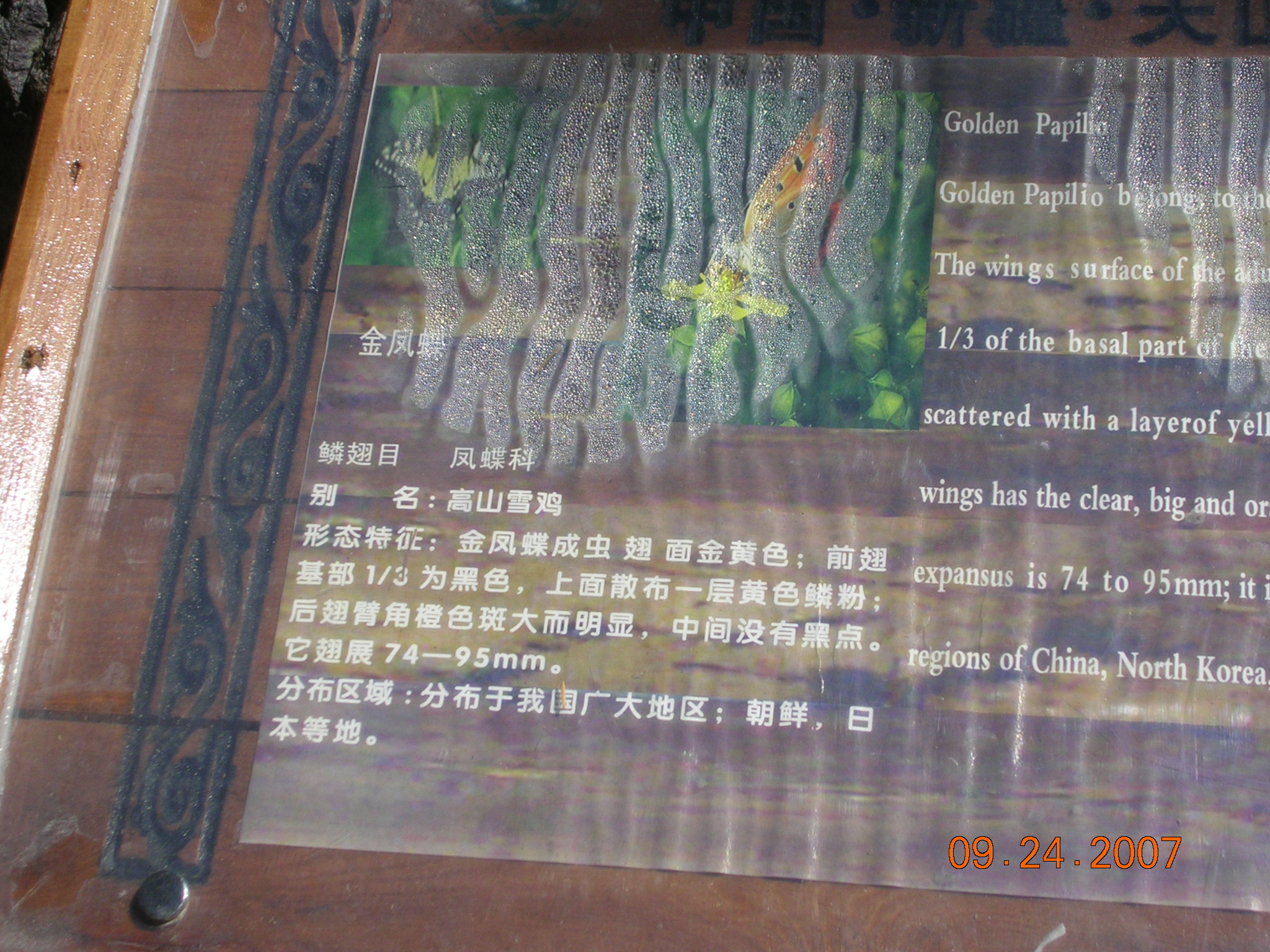 2007-Picture07-09-25A 146.jpg