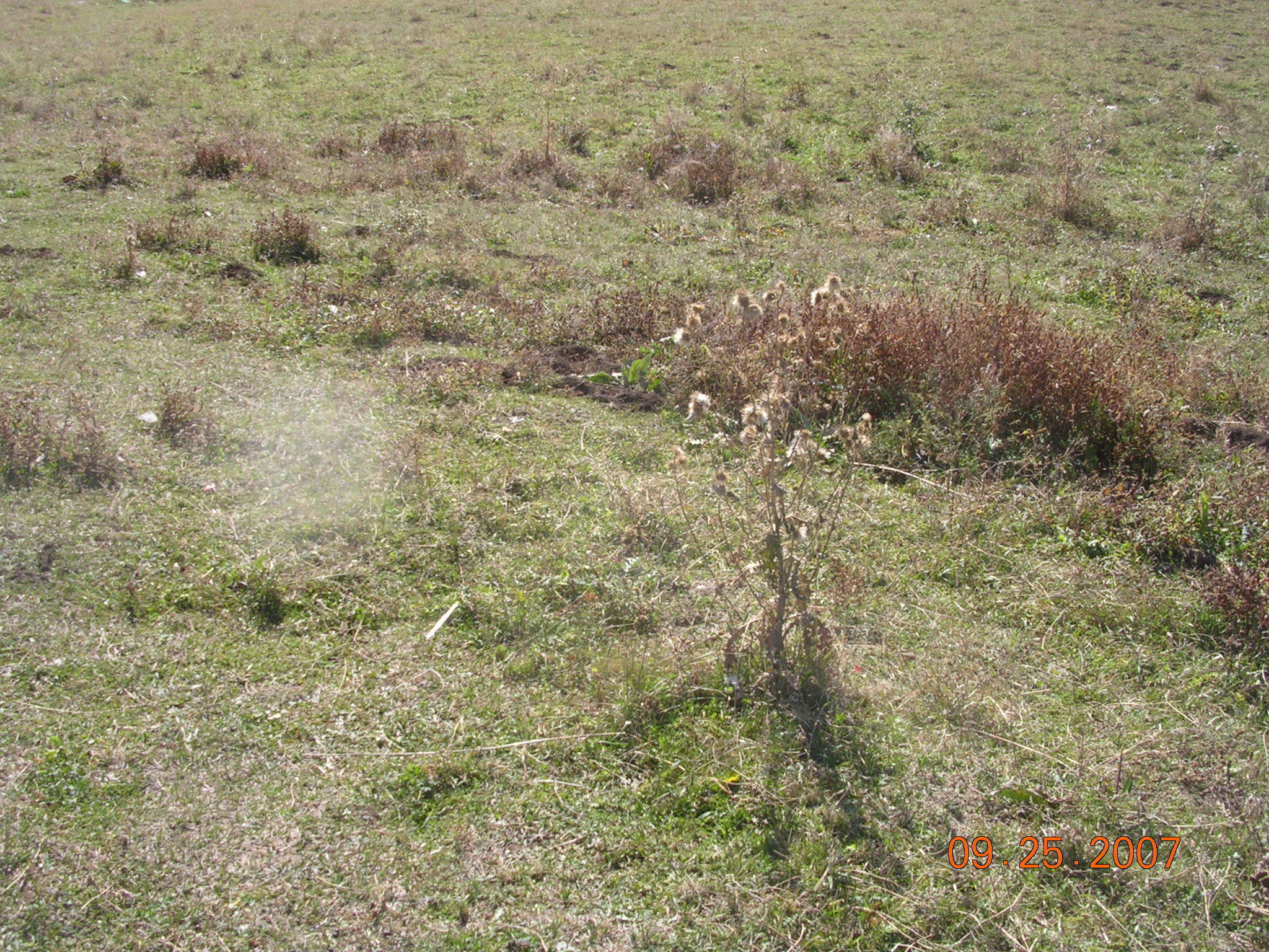 2007-Picture07-09-26A 051.jpg