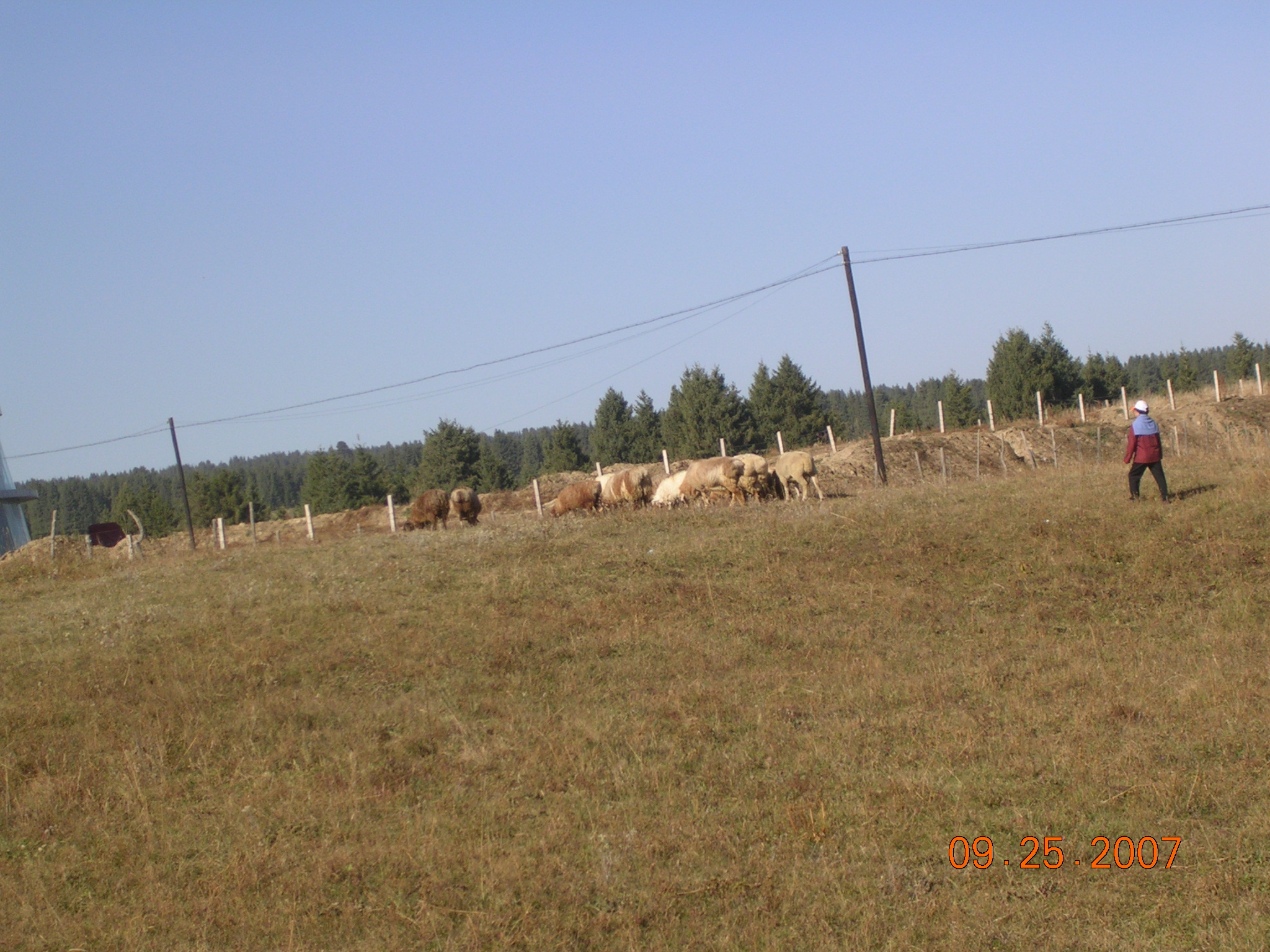 2007-Picture07-09-26A 047.jpg