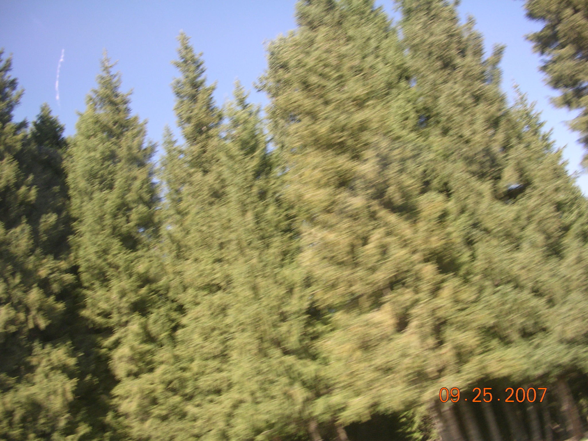 2007-Picture07-09-26A 087.jpg