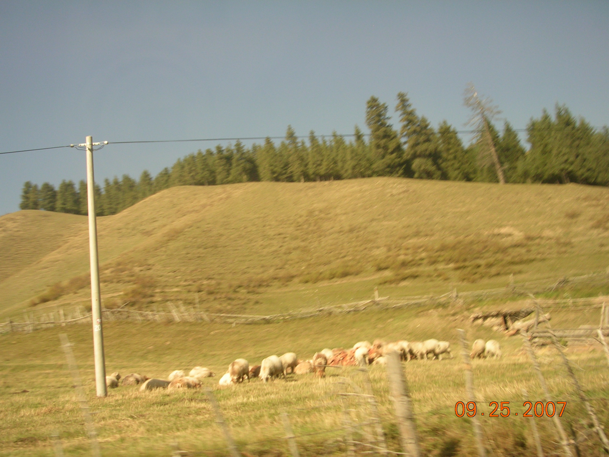 2007-Picture07-09-26A 084.jpg