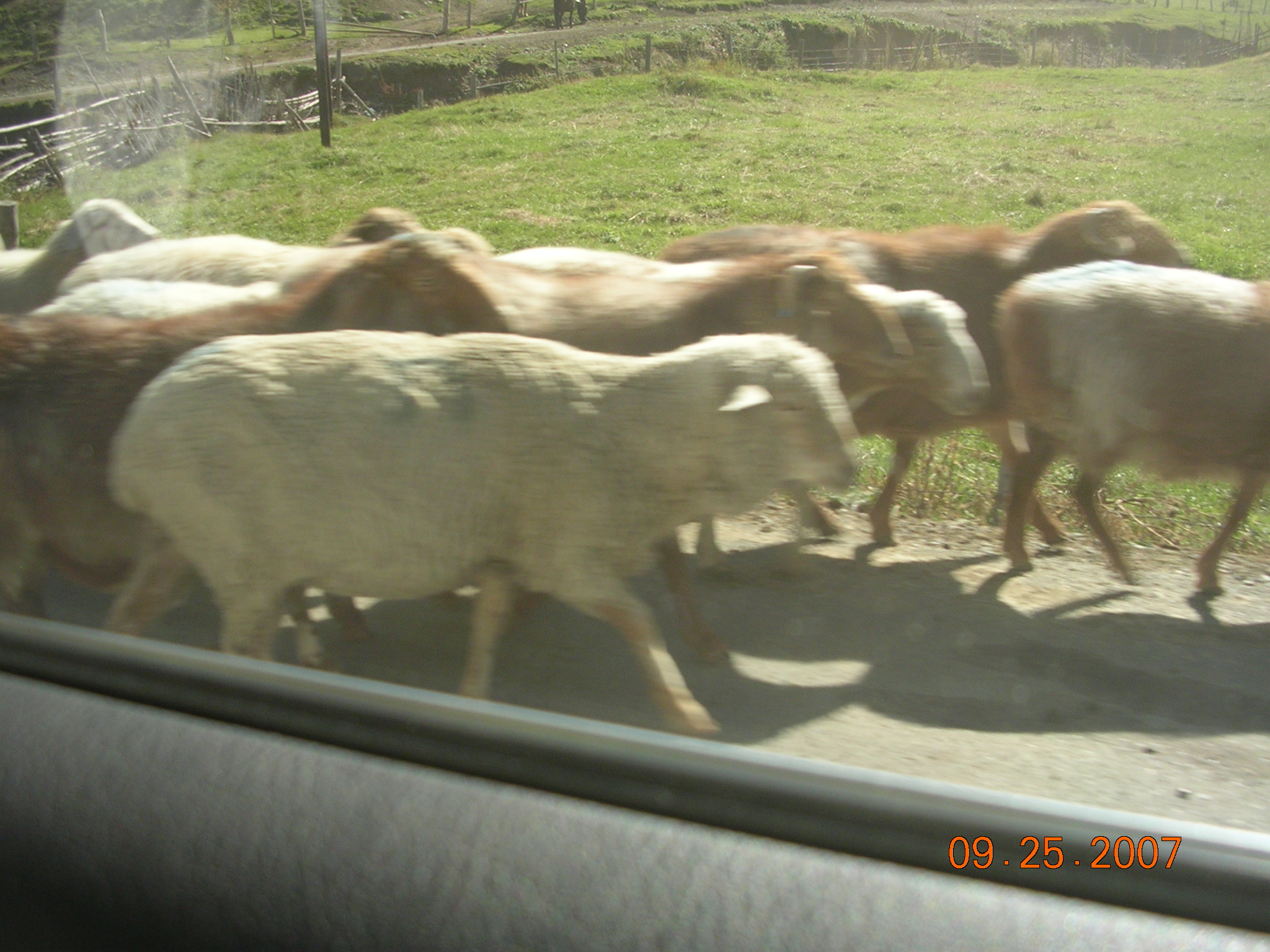 2007-Picture07-09-26A 076.jpg