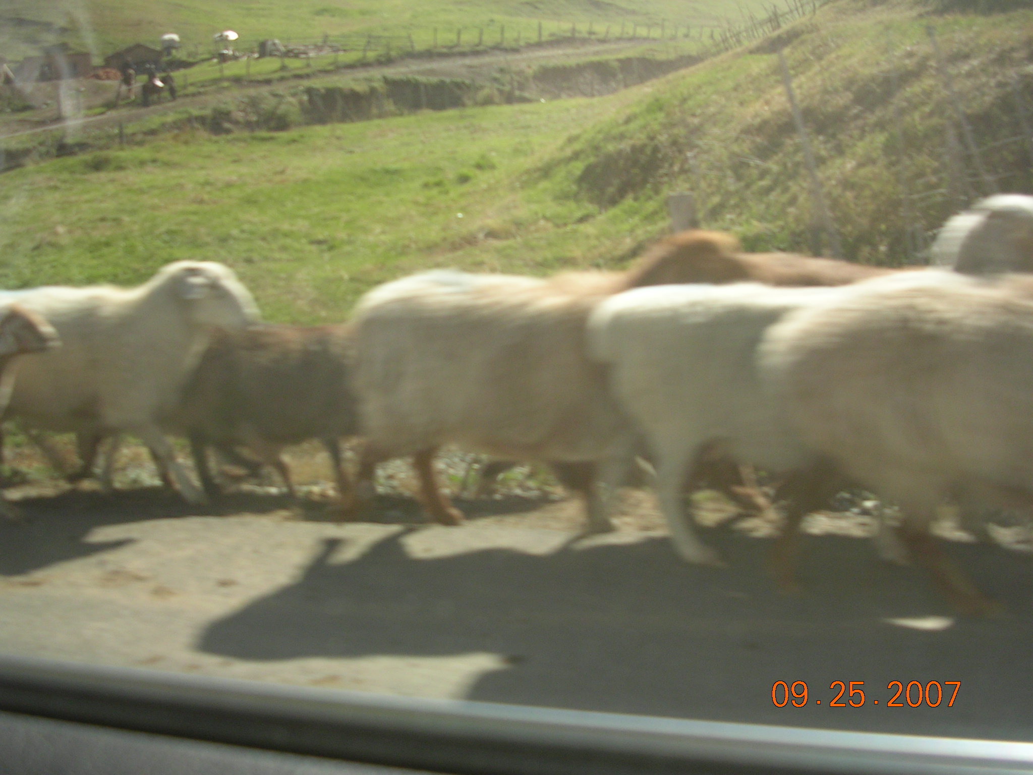 2007-Picture07-09-26A 075.jpg