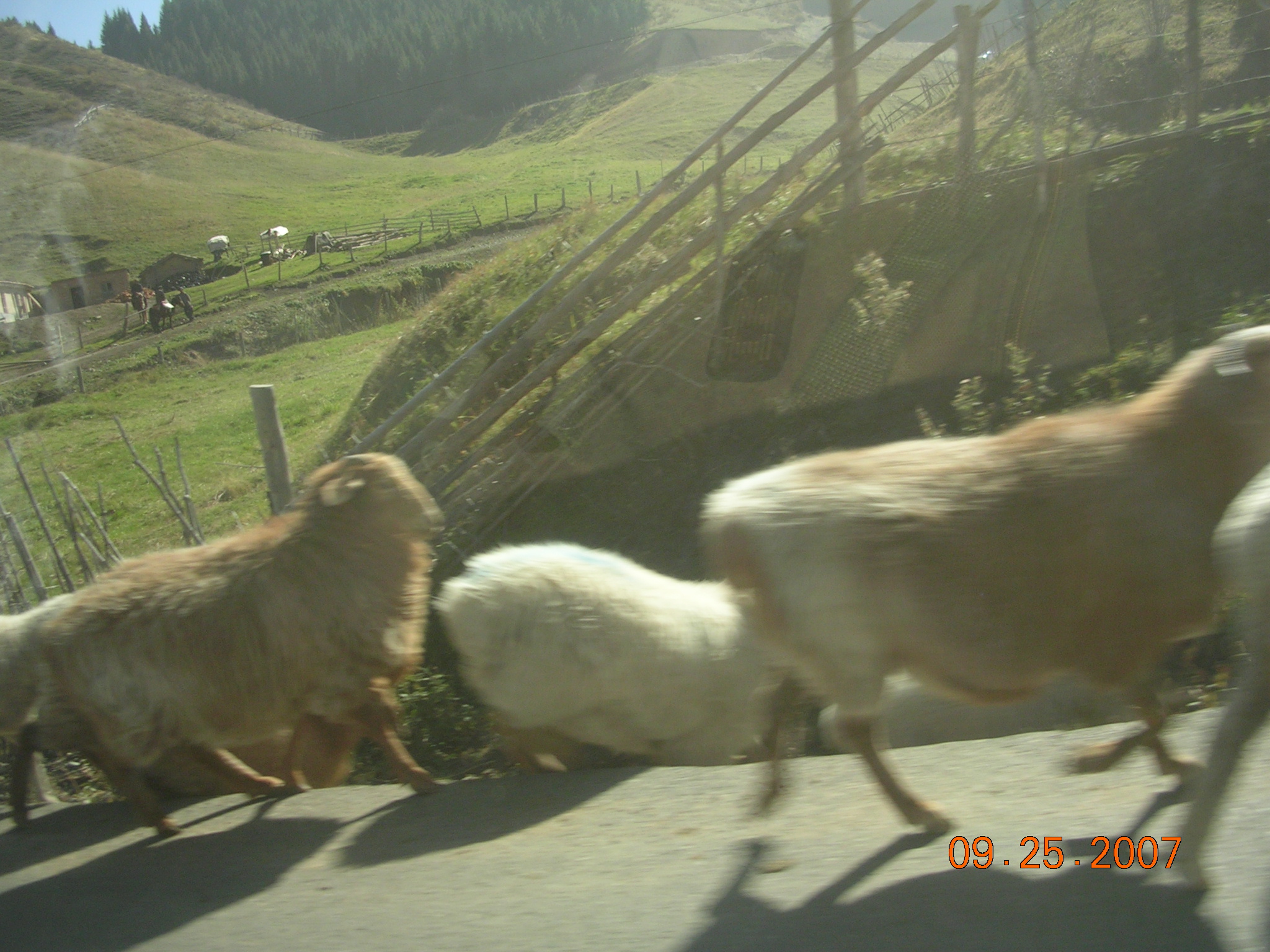 2007-Picture07-09-26A 074.jpg