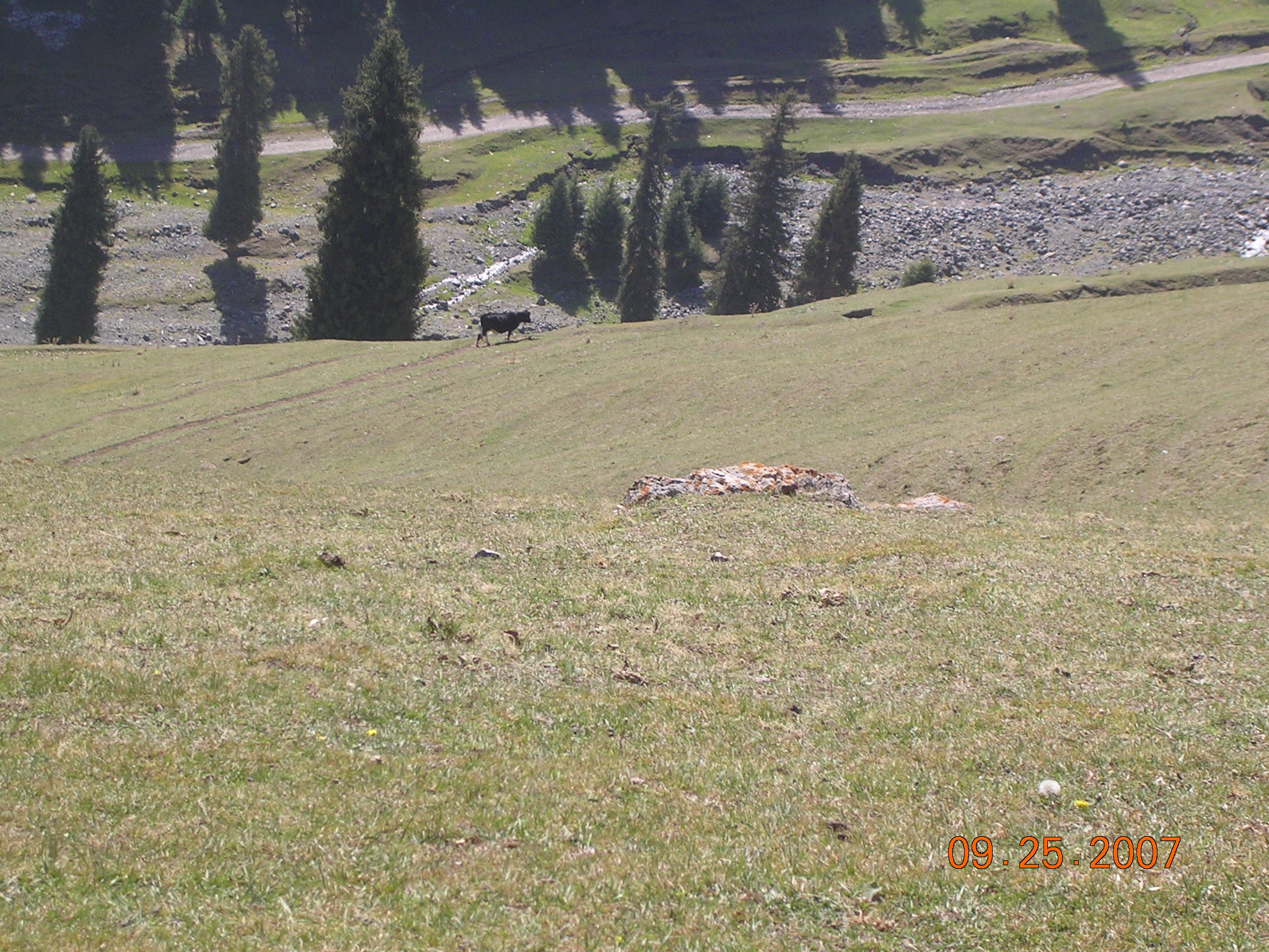 2007-Picture07-09-26A 112.jpg