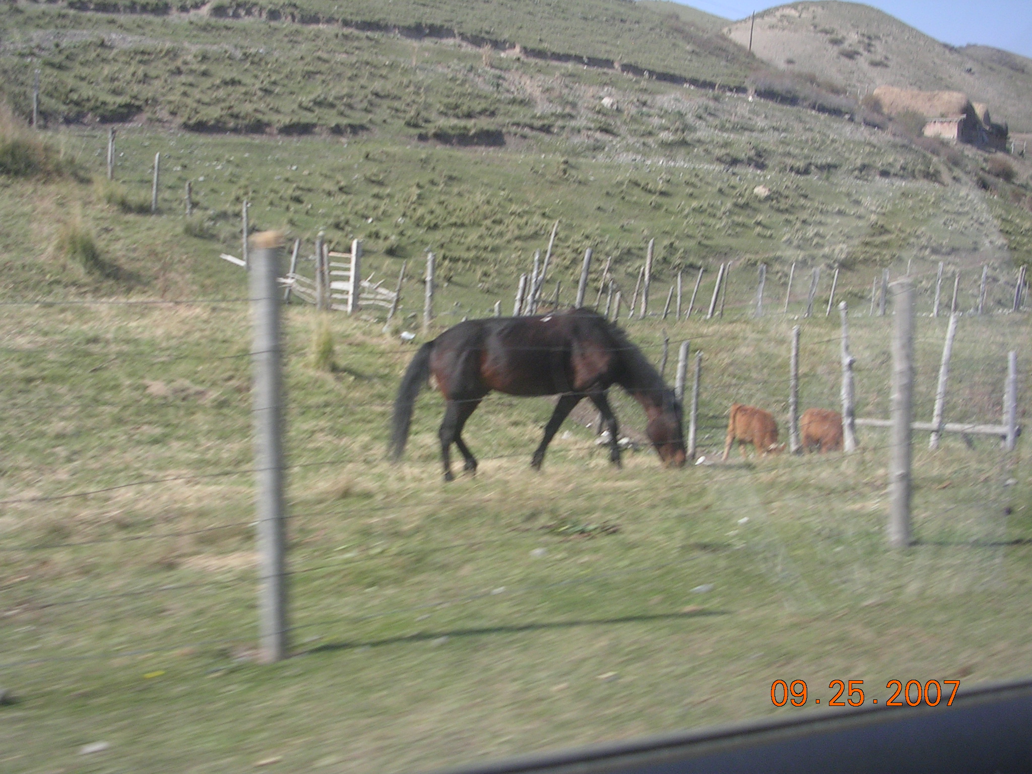 2007-Picture07-09-26A 218.jpg