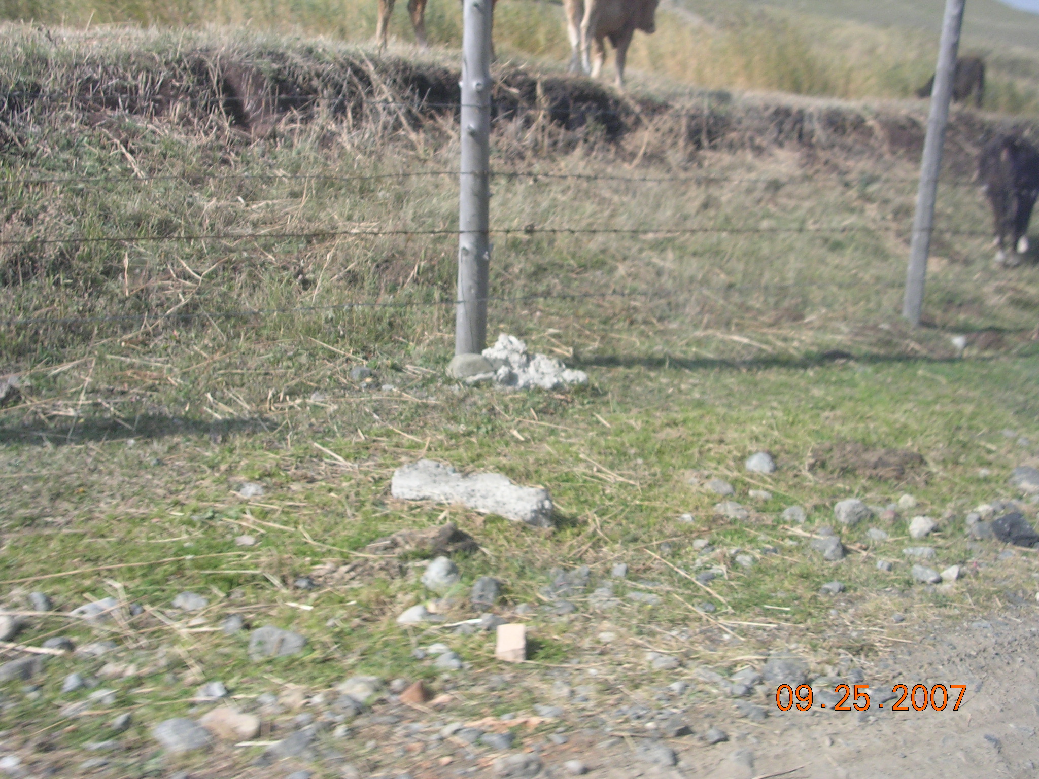 2007-Picture07-09-26A 217.jpg