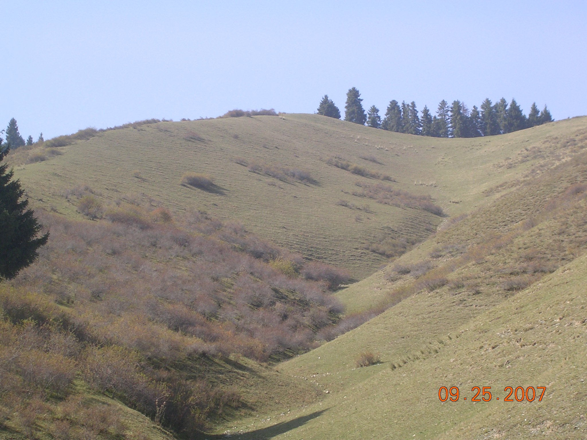 2007-Picture07-09-26A 184.jpg