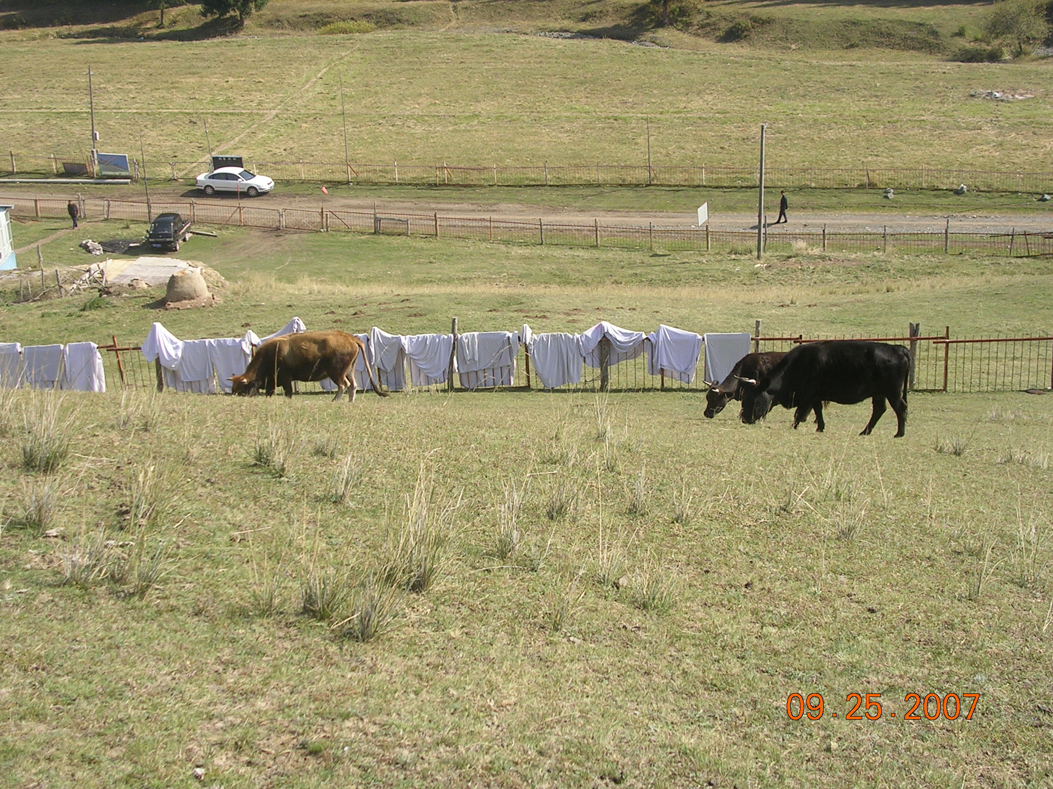 2007-Picture07-09-26A 183.jpg