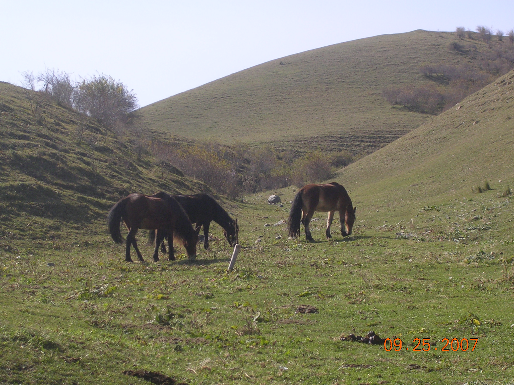 2007-Picture07-09-26A 178.jpg