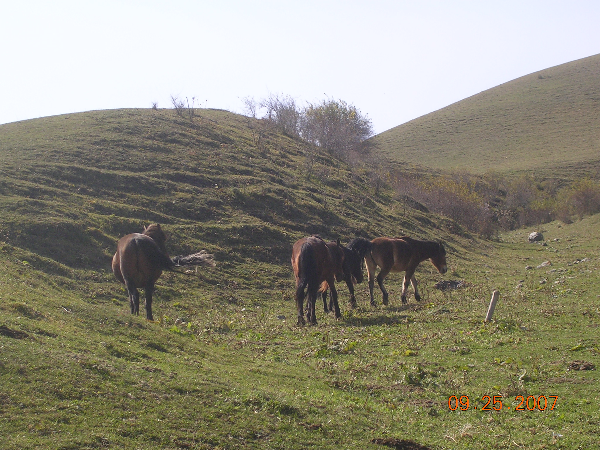 2007-Picture07-09-26A 177.jpg