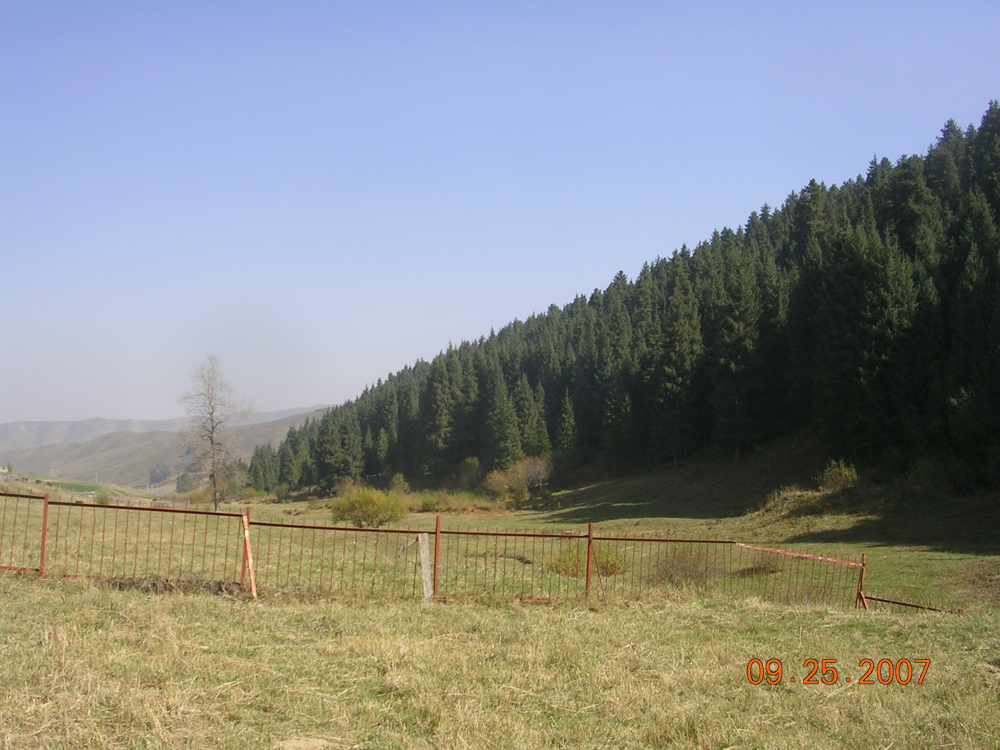 2007-Picture07-09-26A 156.jpg