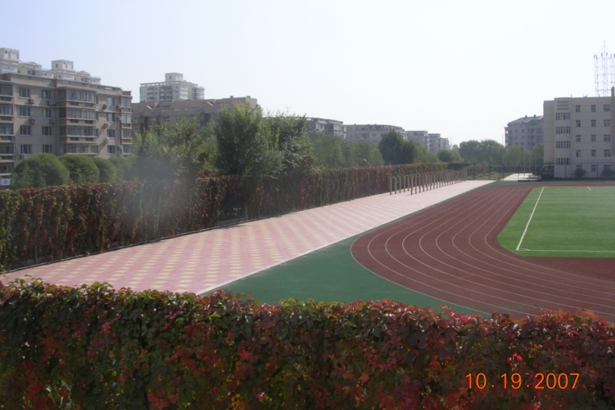 BlogSH07-10-21Ad.jpg