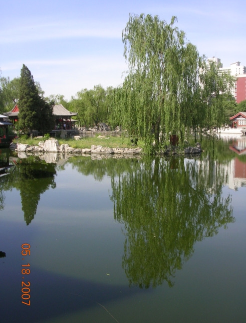 BolgSY07-05-28Cu.jpg
