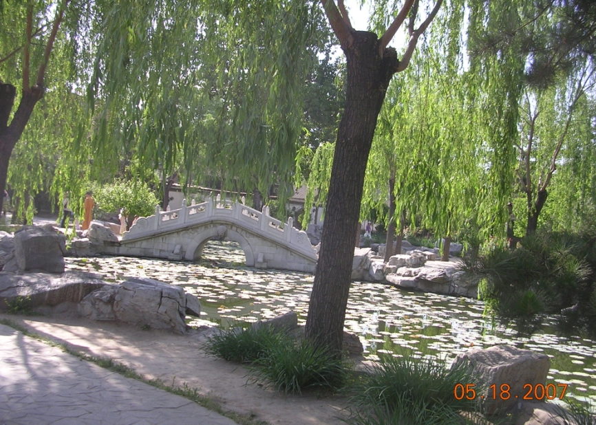 BolgSY07-05-28Ce.jpg