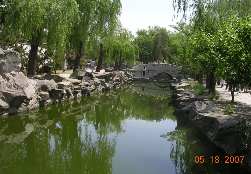 BolgSY07-05-28Ds.jpg