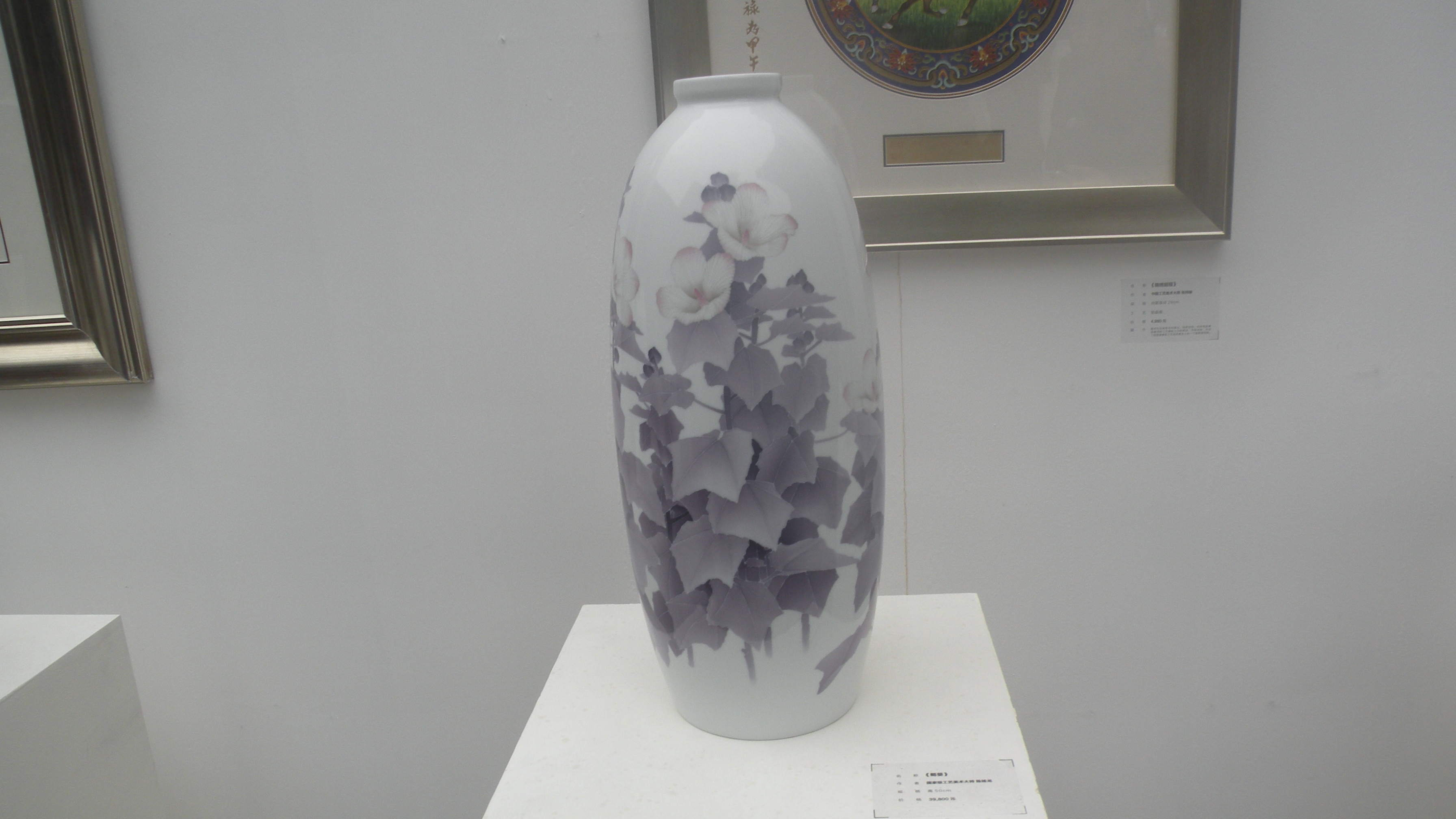 DSCN8308.JPG