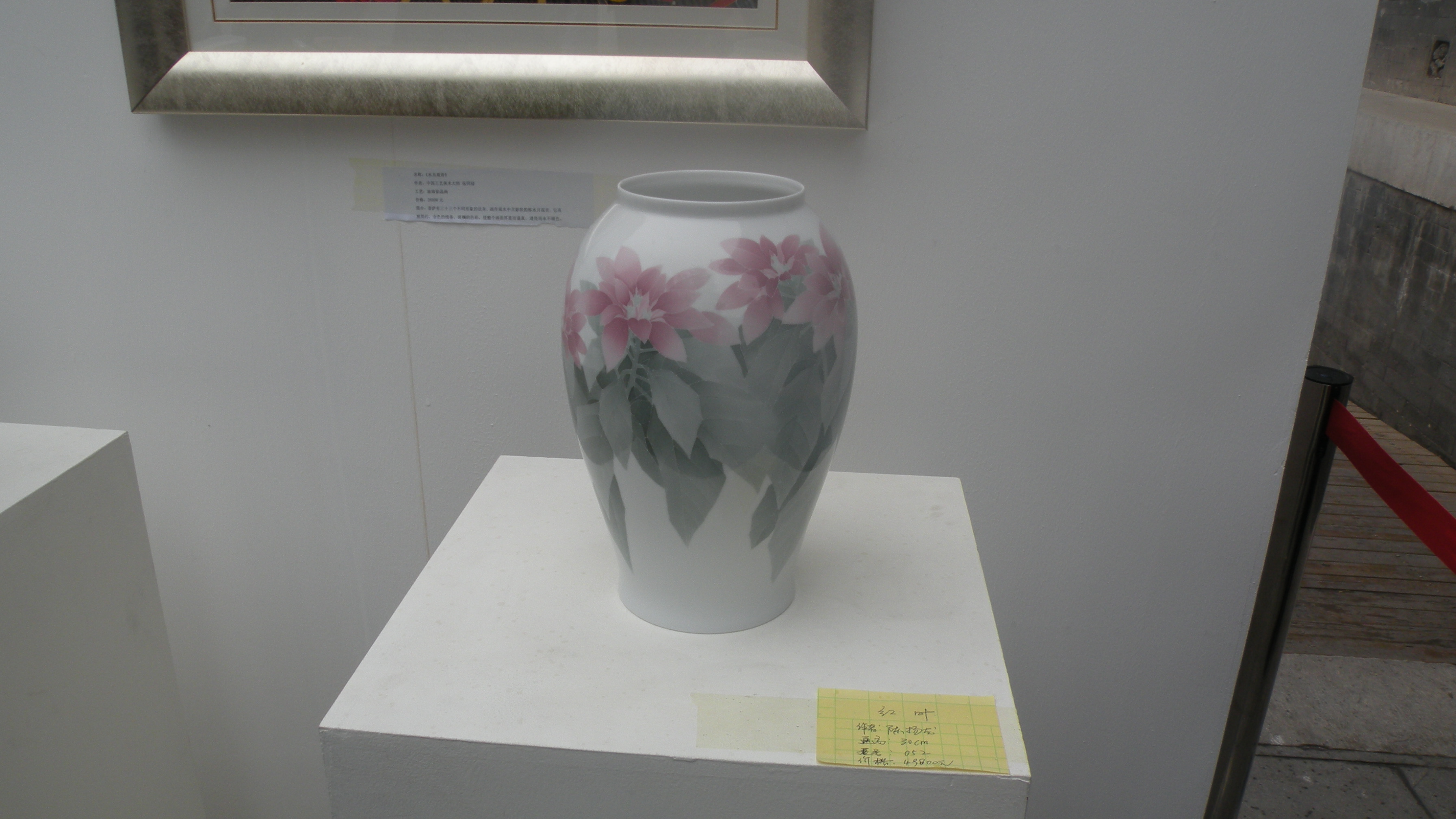DSCN8306.JPG