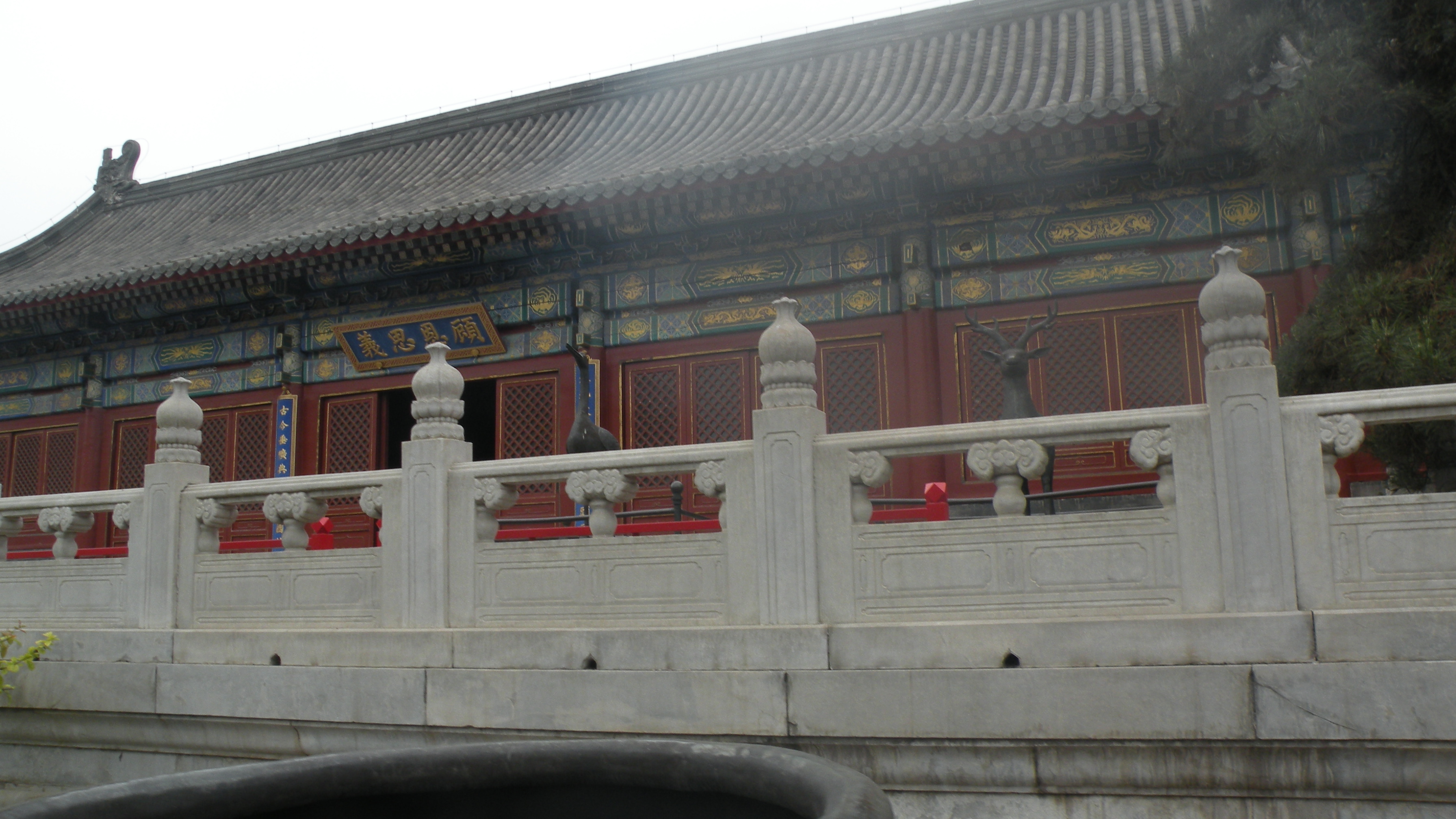 DSCN8296.JPG