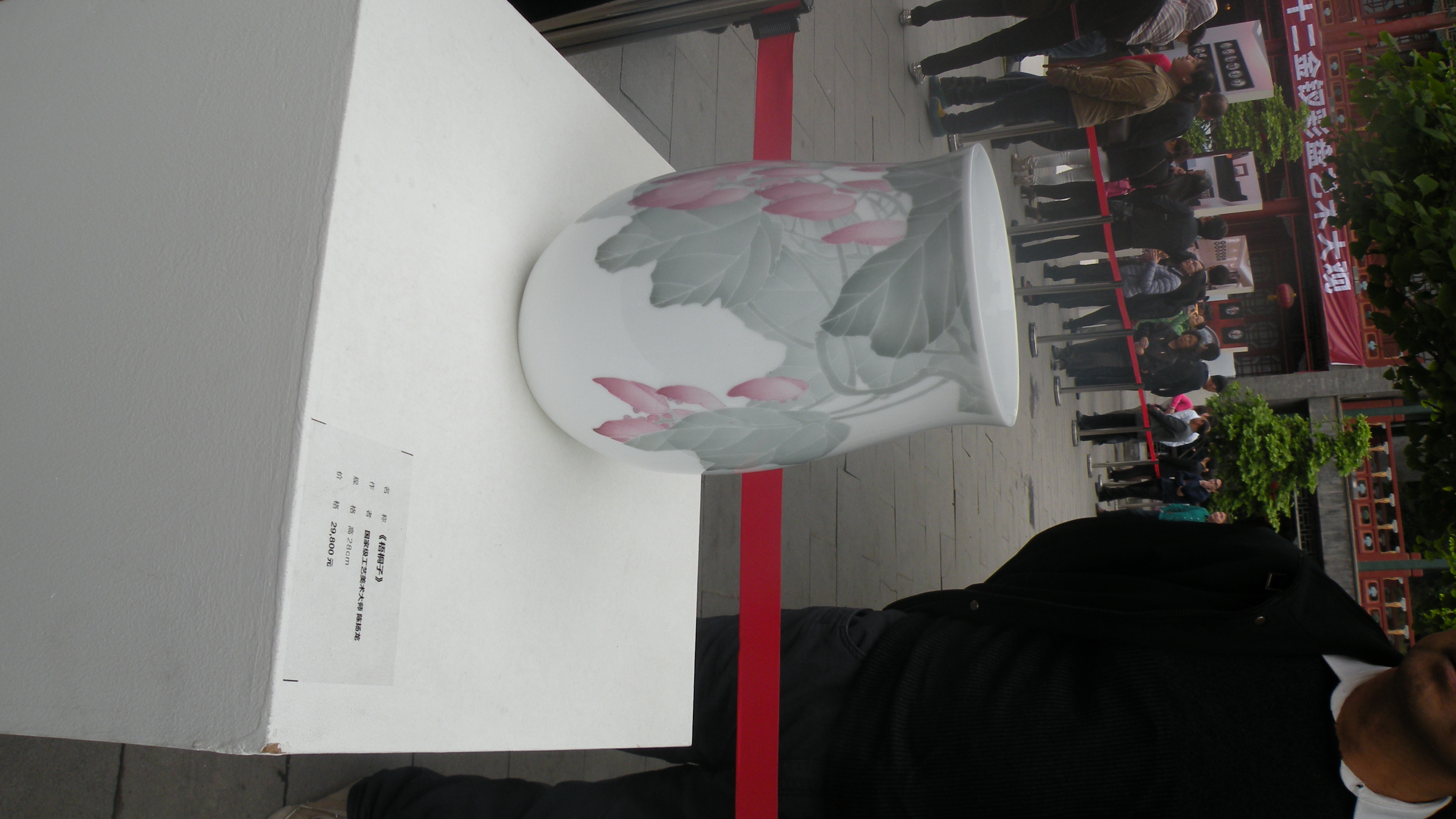 DSCN8352.JPG