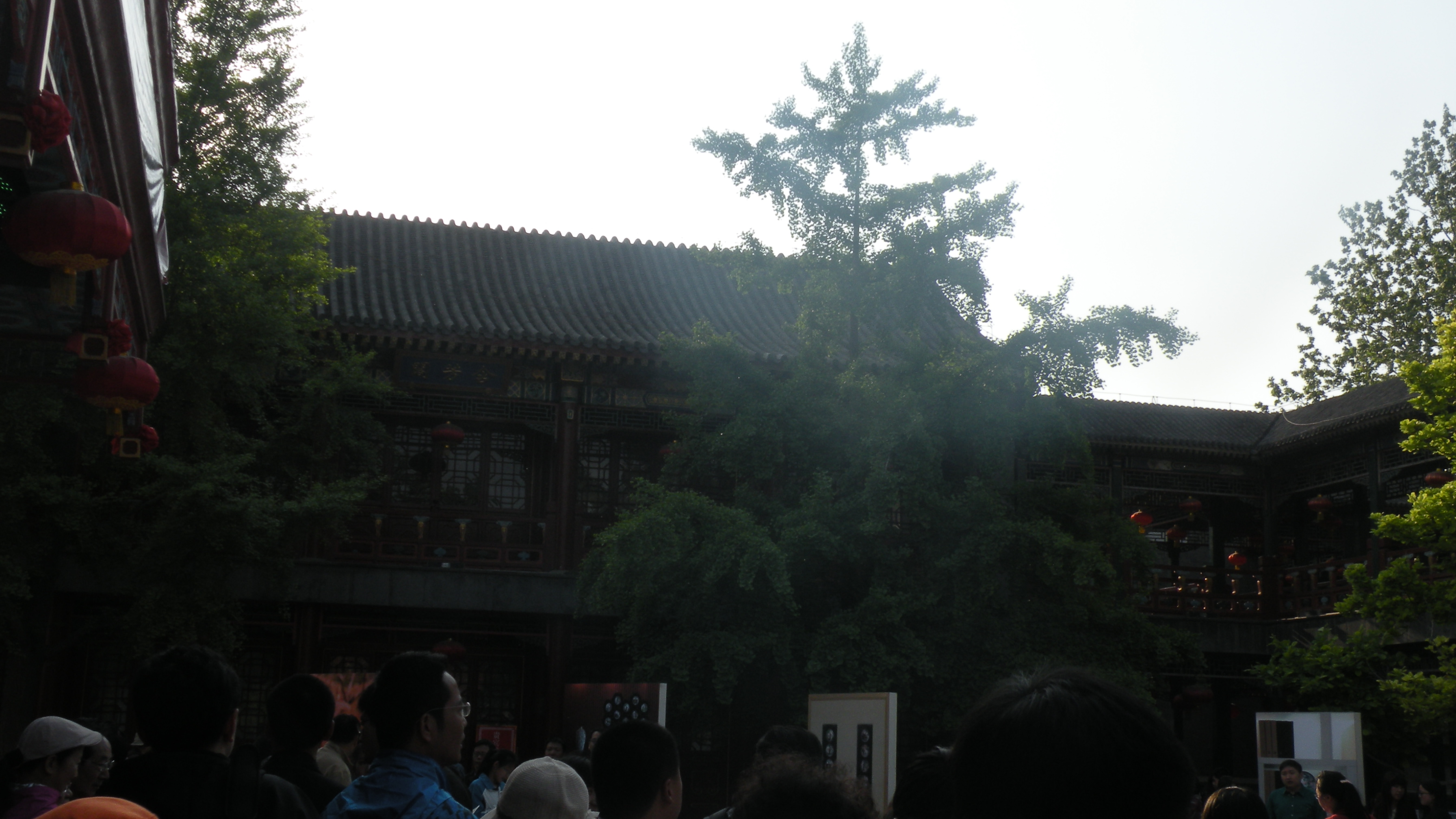 DSCN8531.JPG