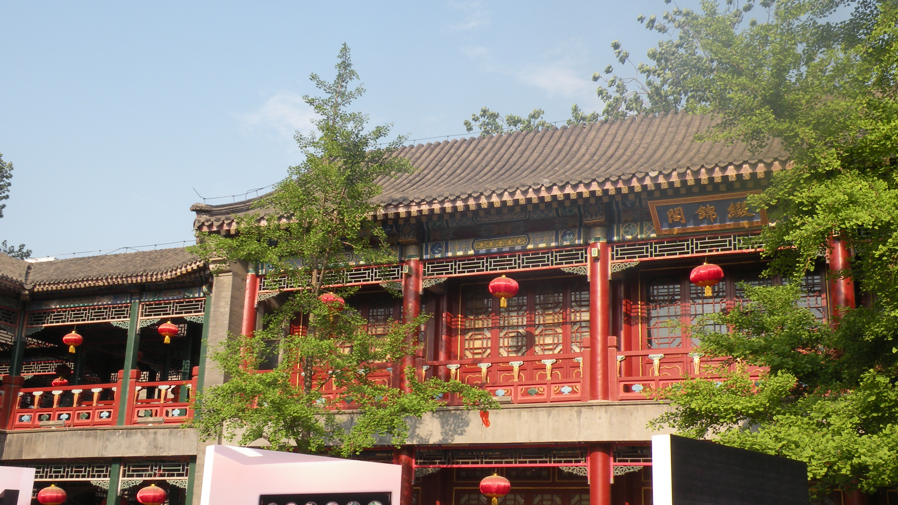 DSCN8533.JPG