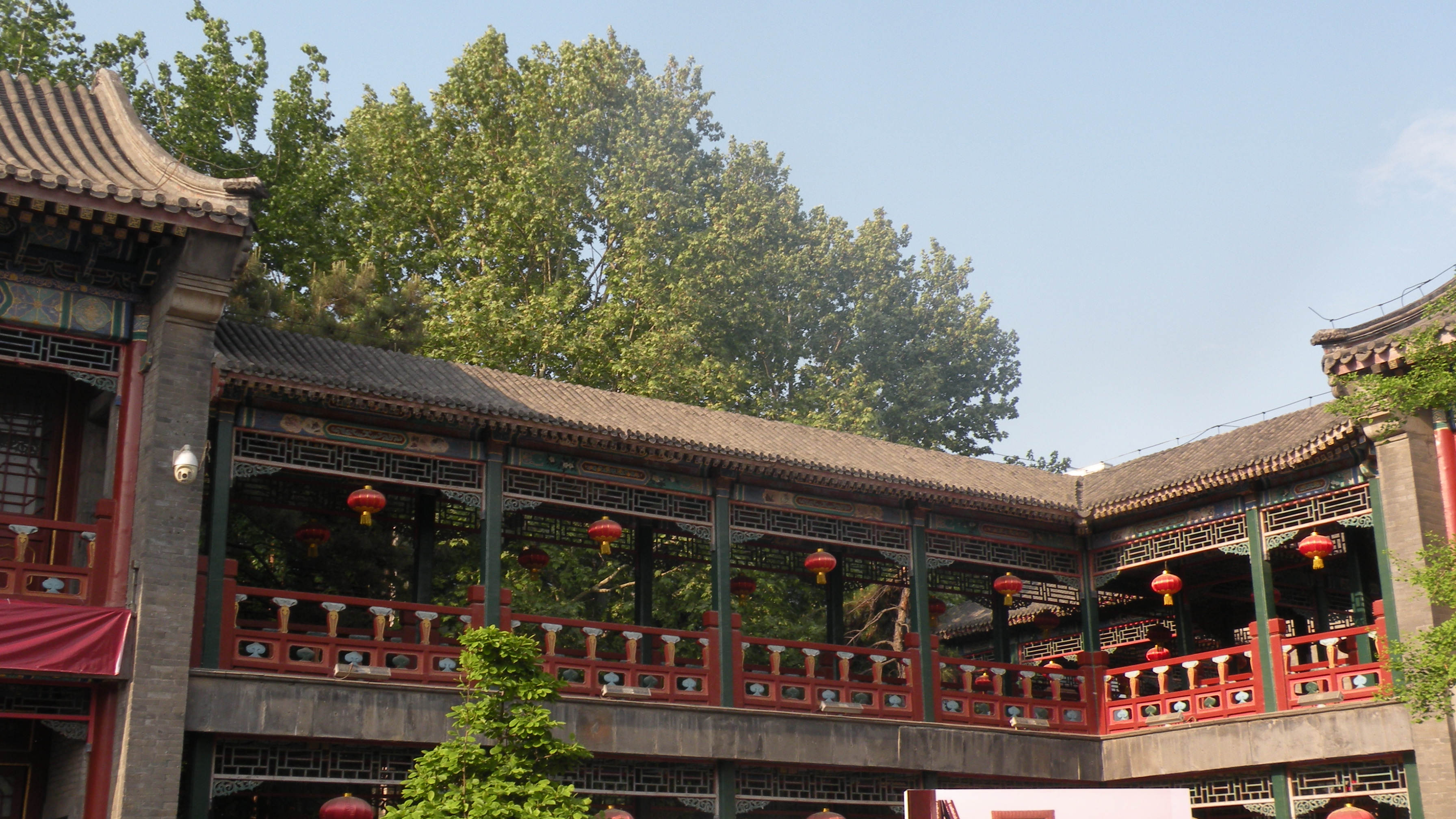 DSCN8534.JPG